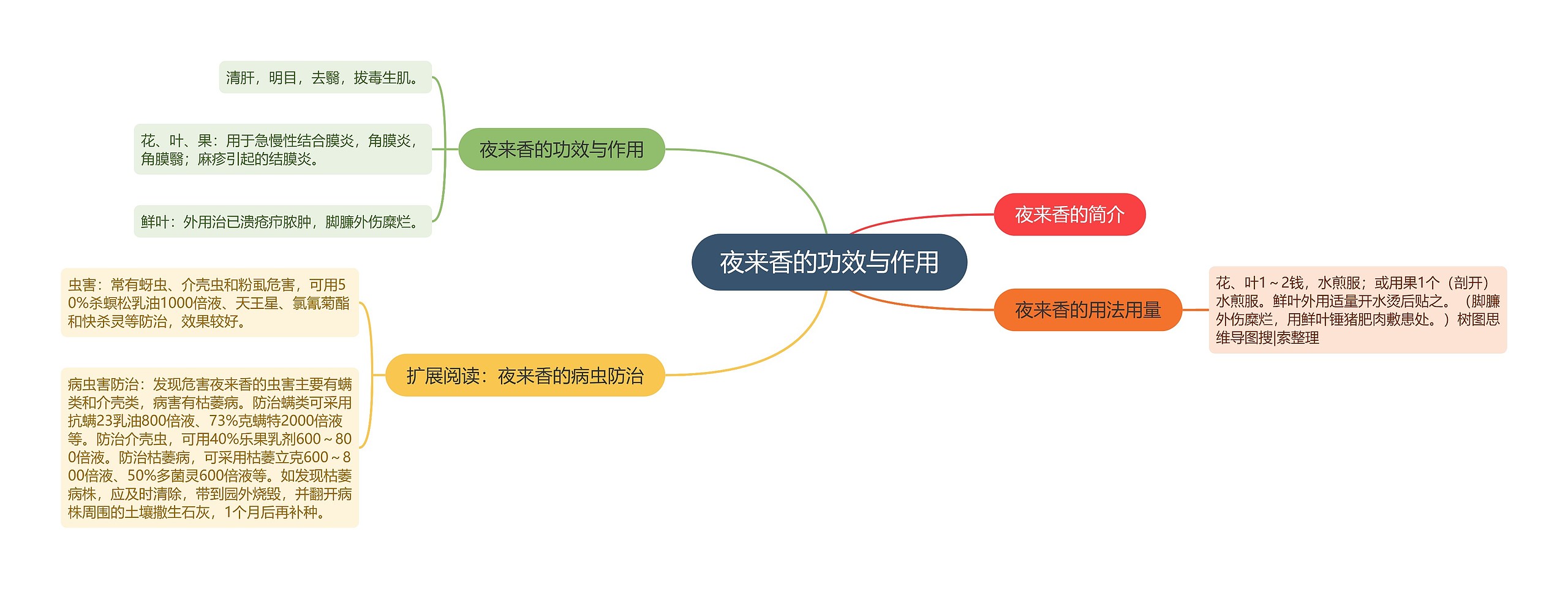 夜来香的功效与作用