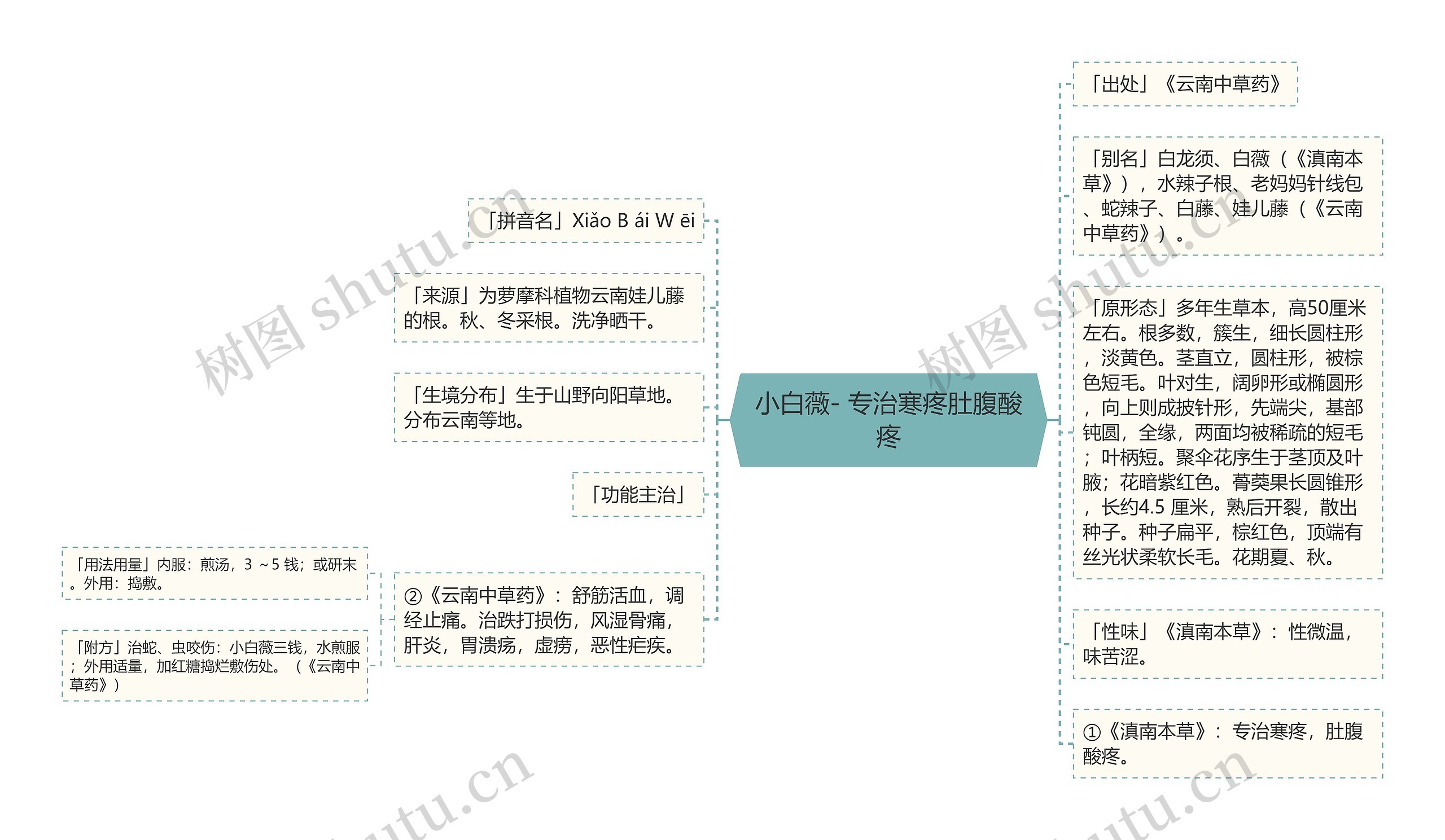 小白薇- 专治寒疼肚腹酸疼思维导图