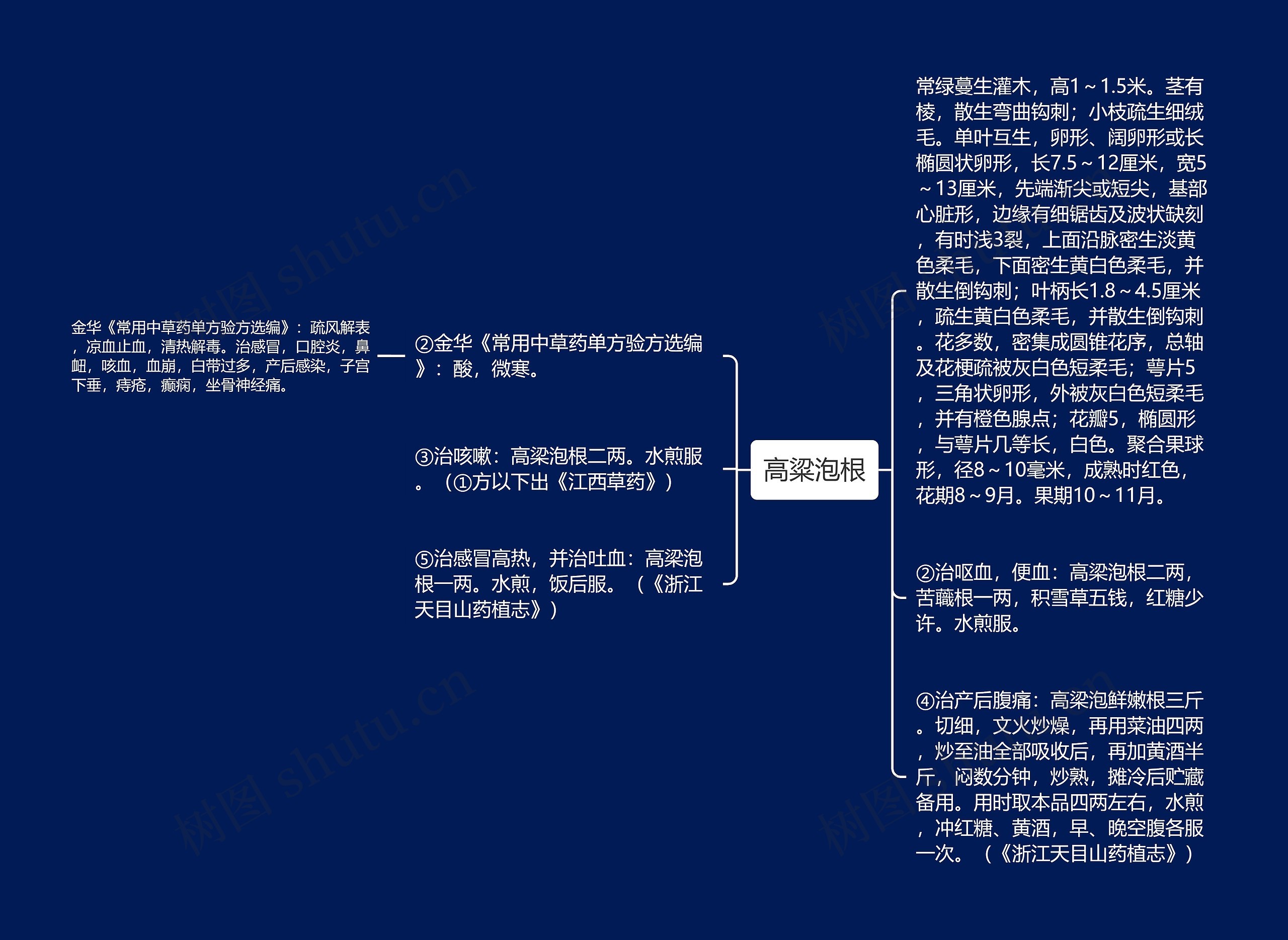 高粱泡根思维导图