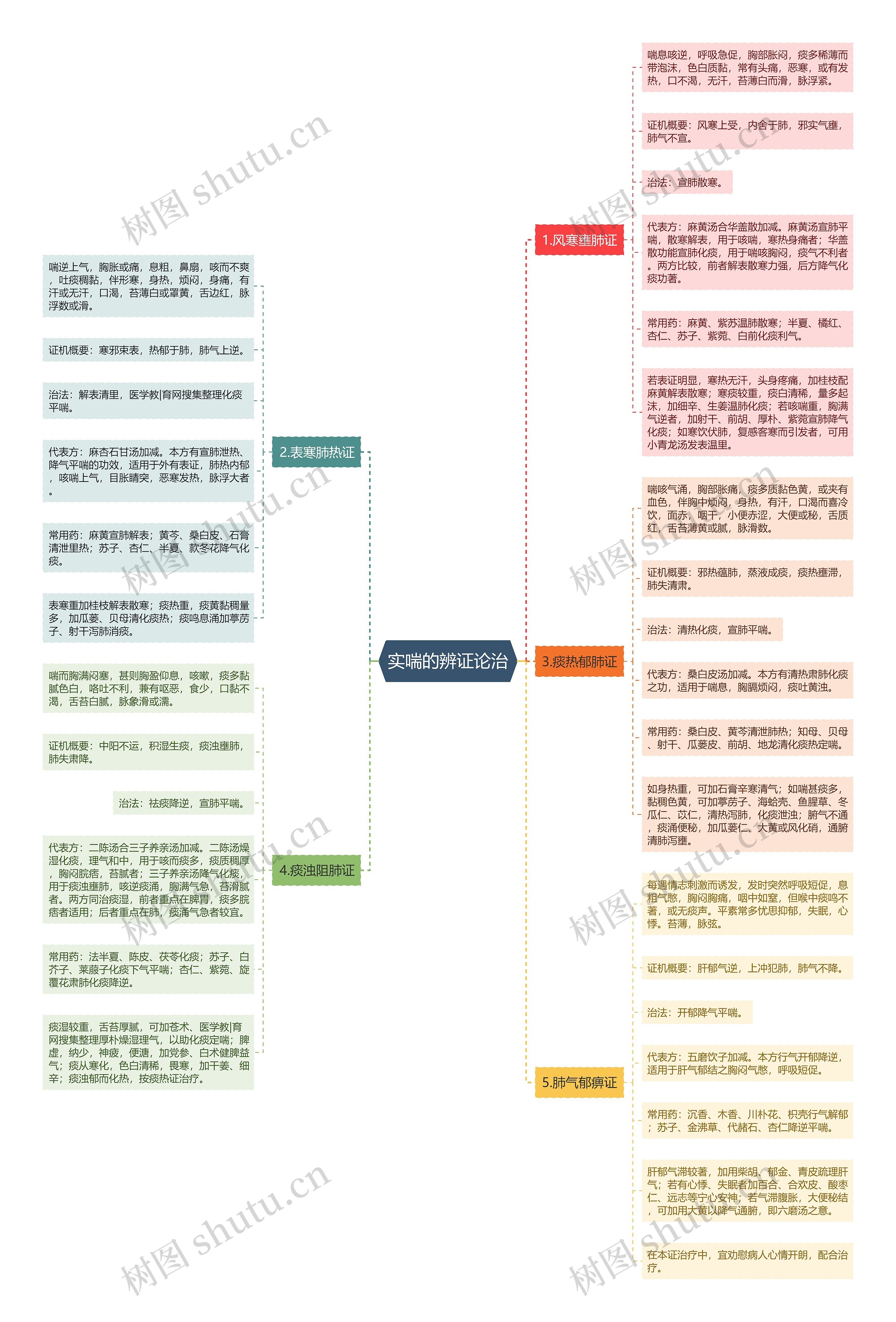 实喘的辨证论治思维导图