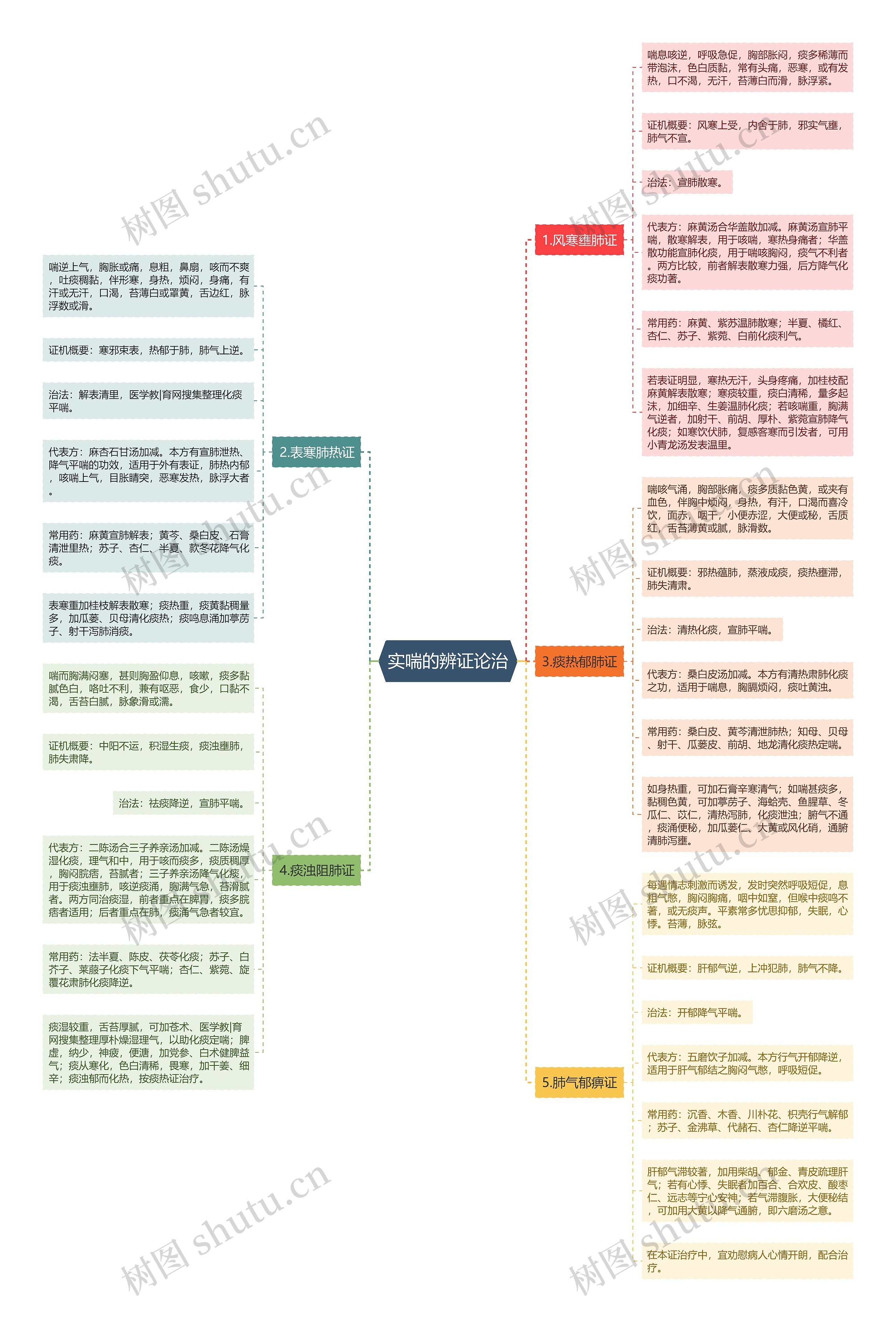 实喘的辨证论治 实喘的辨证论治