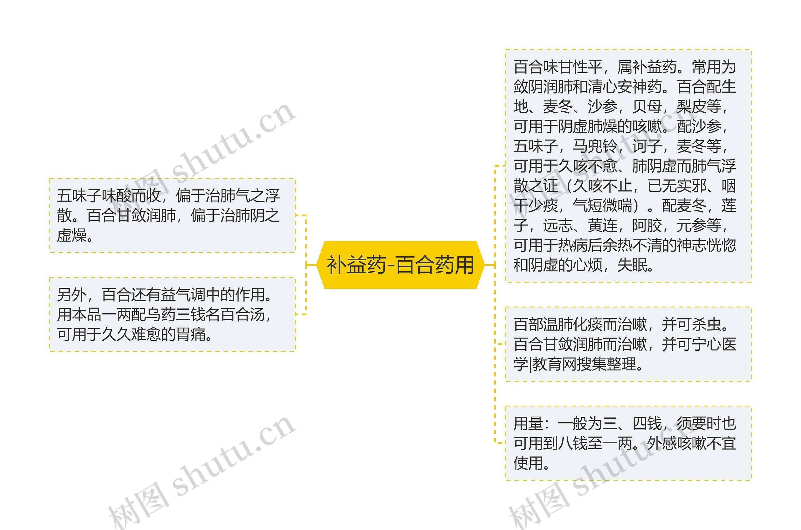 补益药-百合药用思维导图