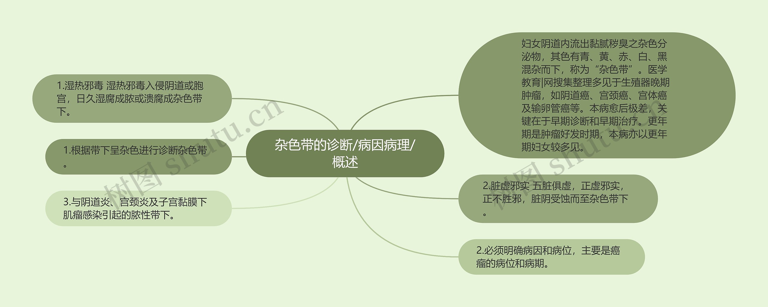 杂色带的诊断/病因病理/概述思维导图