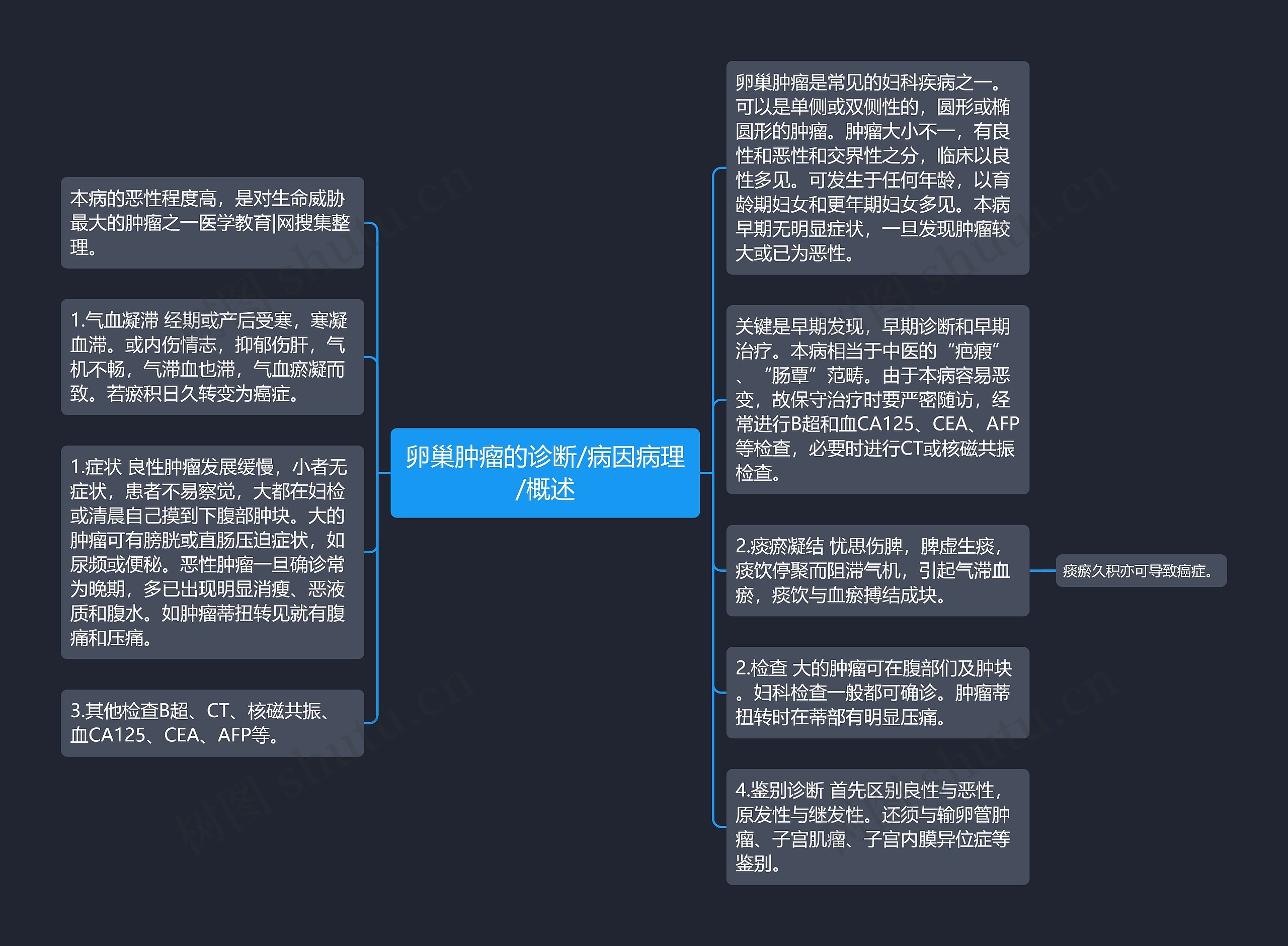 卵巢肿瘤的诊断/病因病理/概述