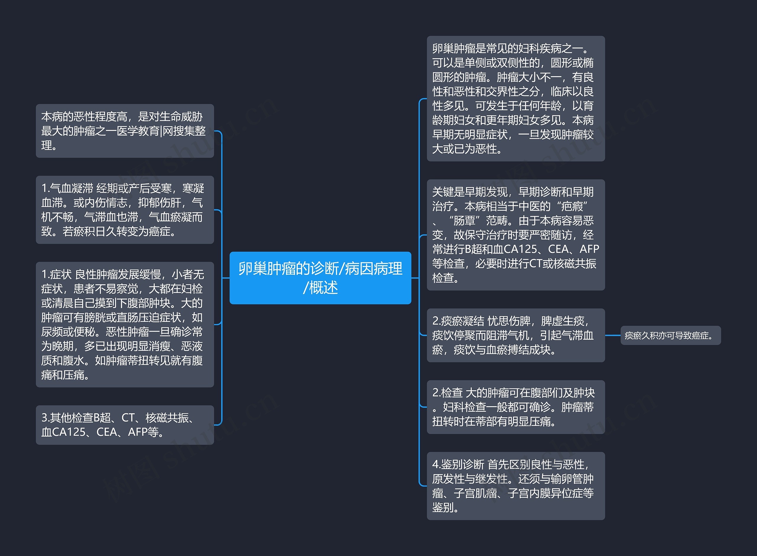 卵巢肿瘤的诊断/病因病理/概述思维导图