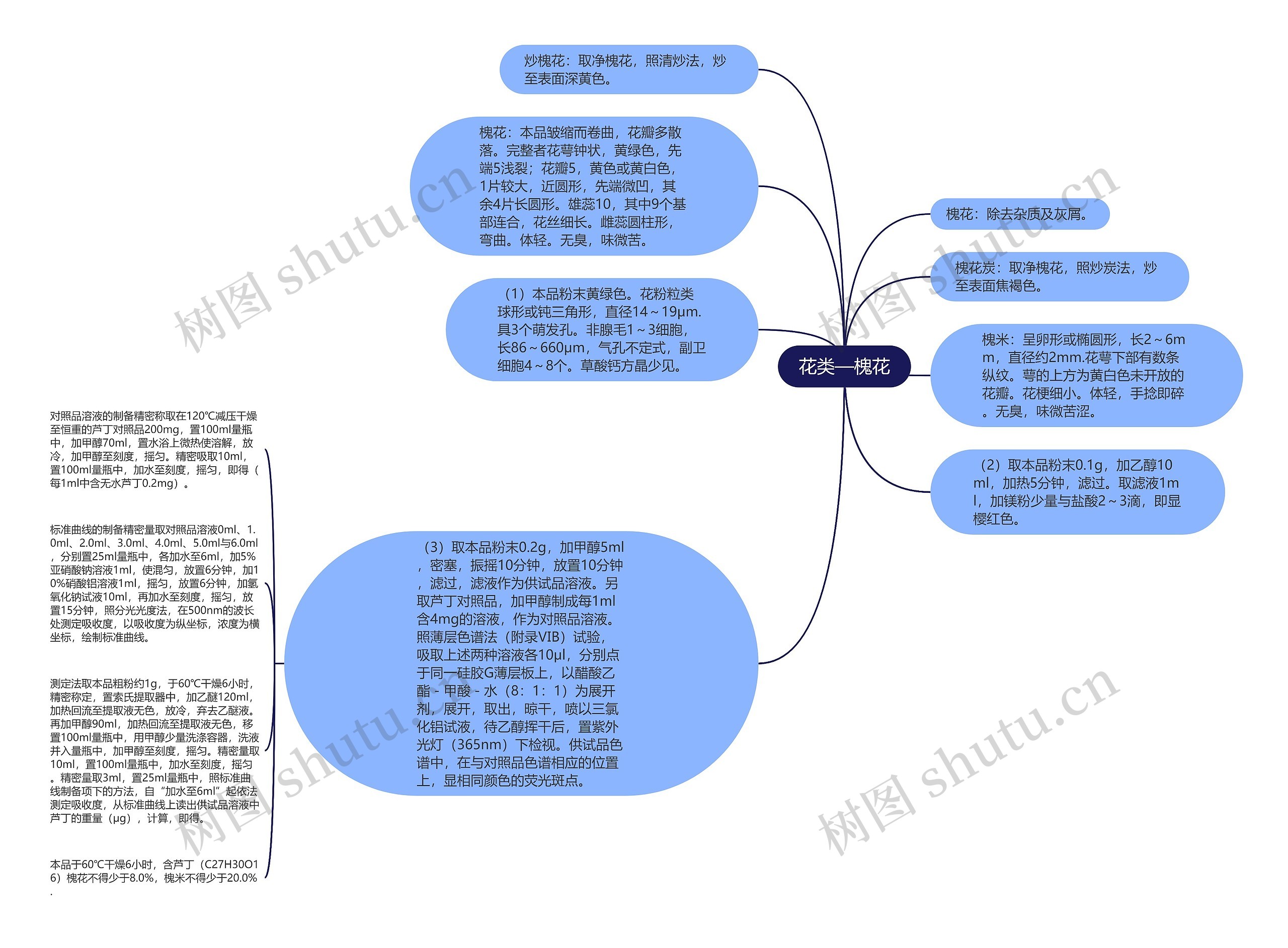 花类—槐花思维导图