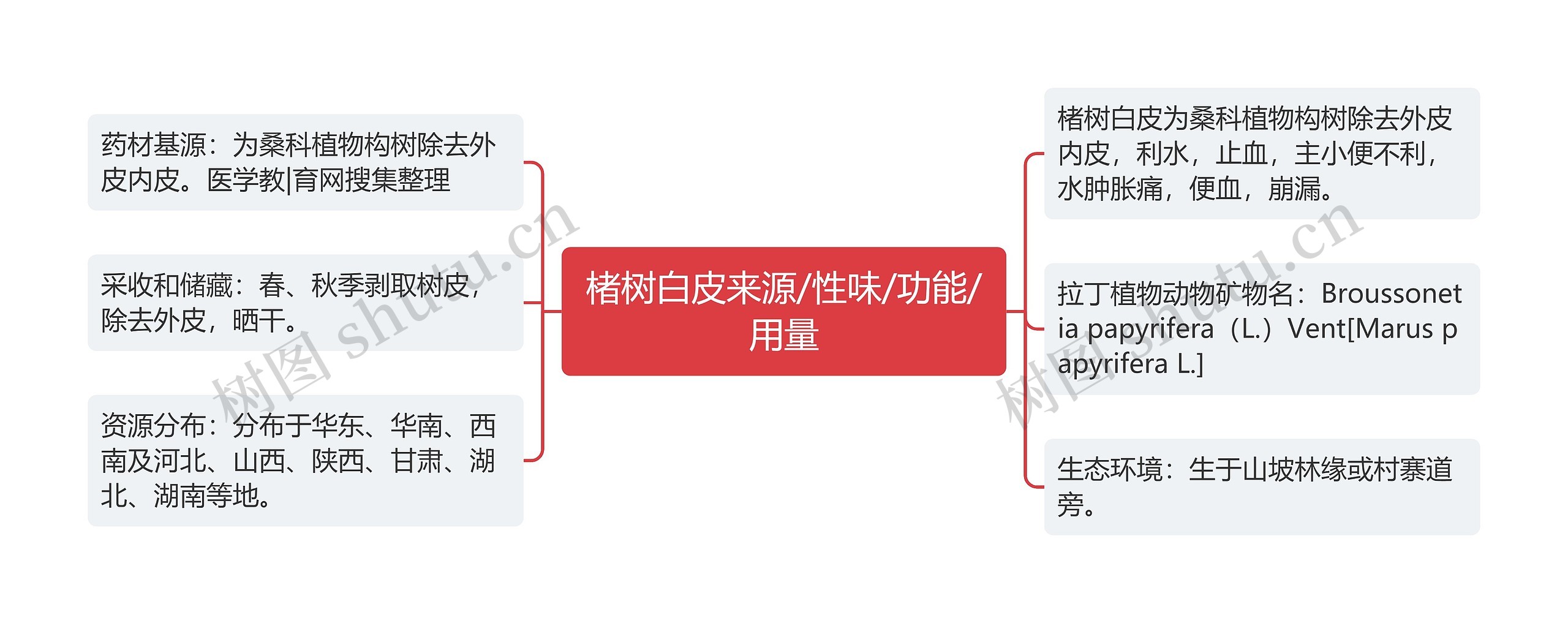 楮树白皮来源/性味/功能/用量思维导图