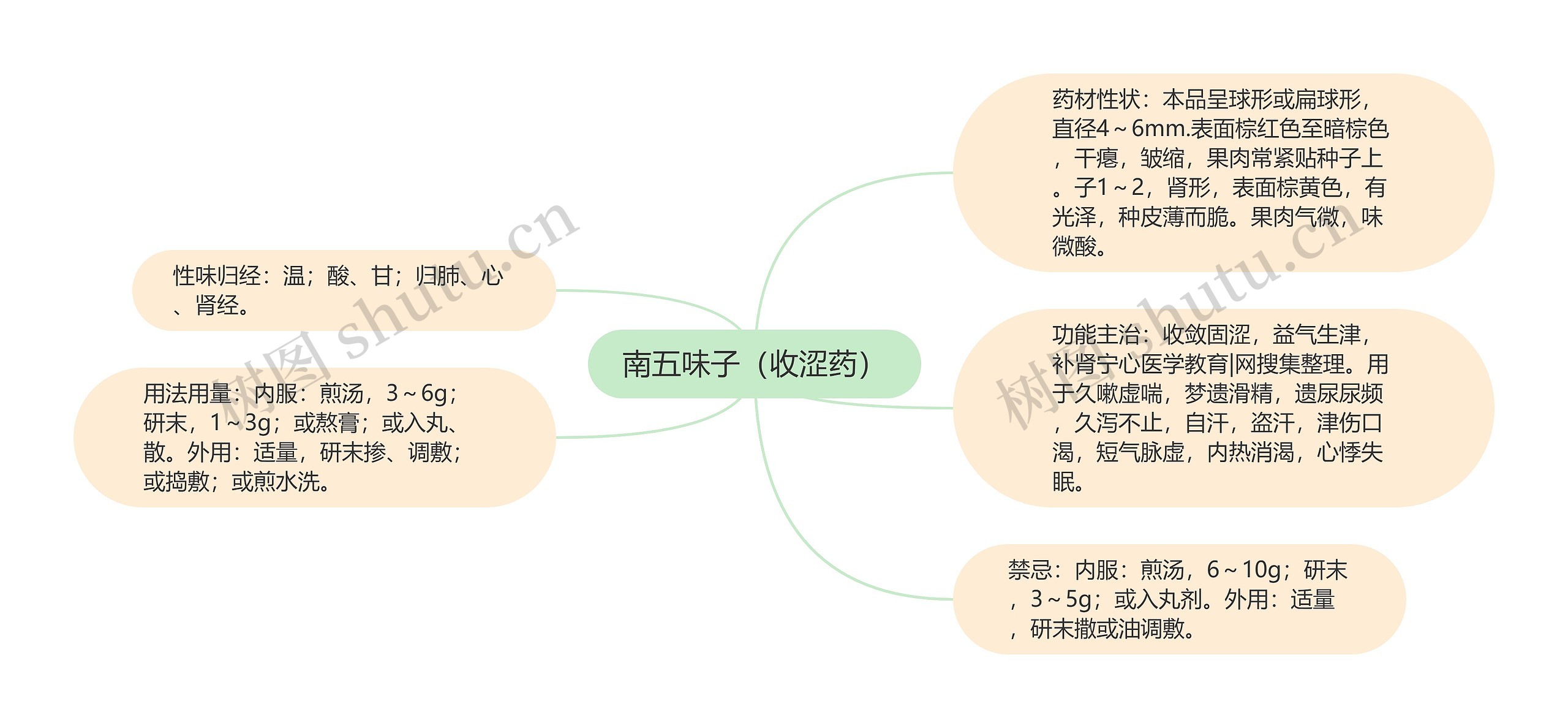 南五味子（收涩药）思维导图