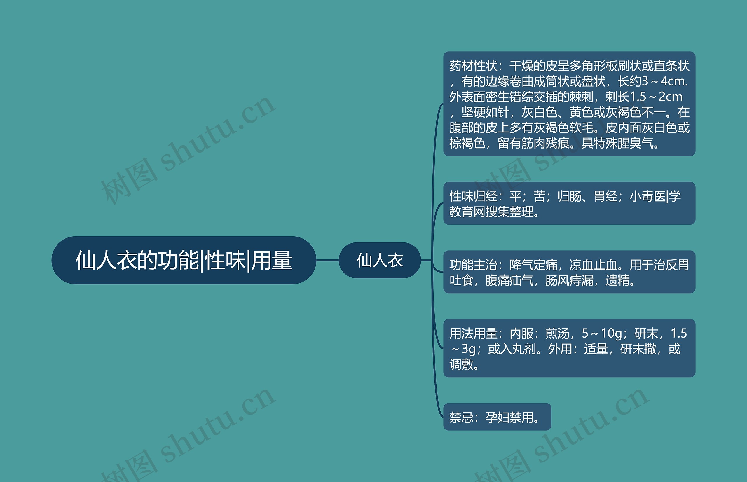 仙人衣的功能|性味|用量 仙人衣的功能|性味|用量