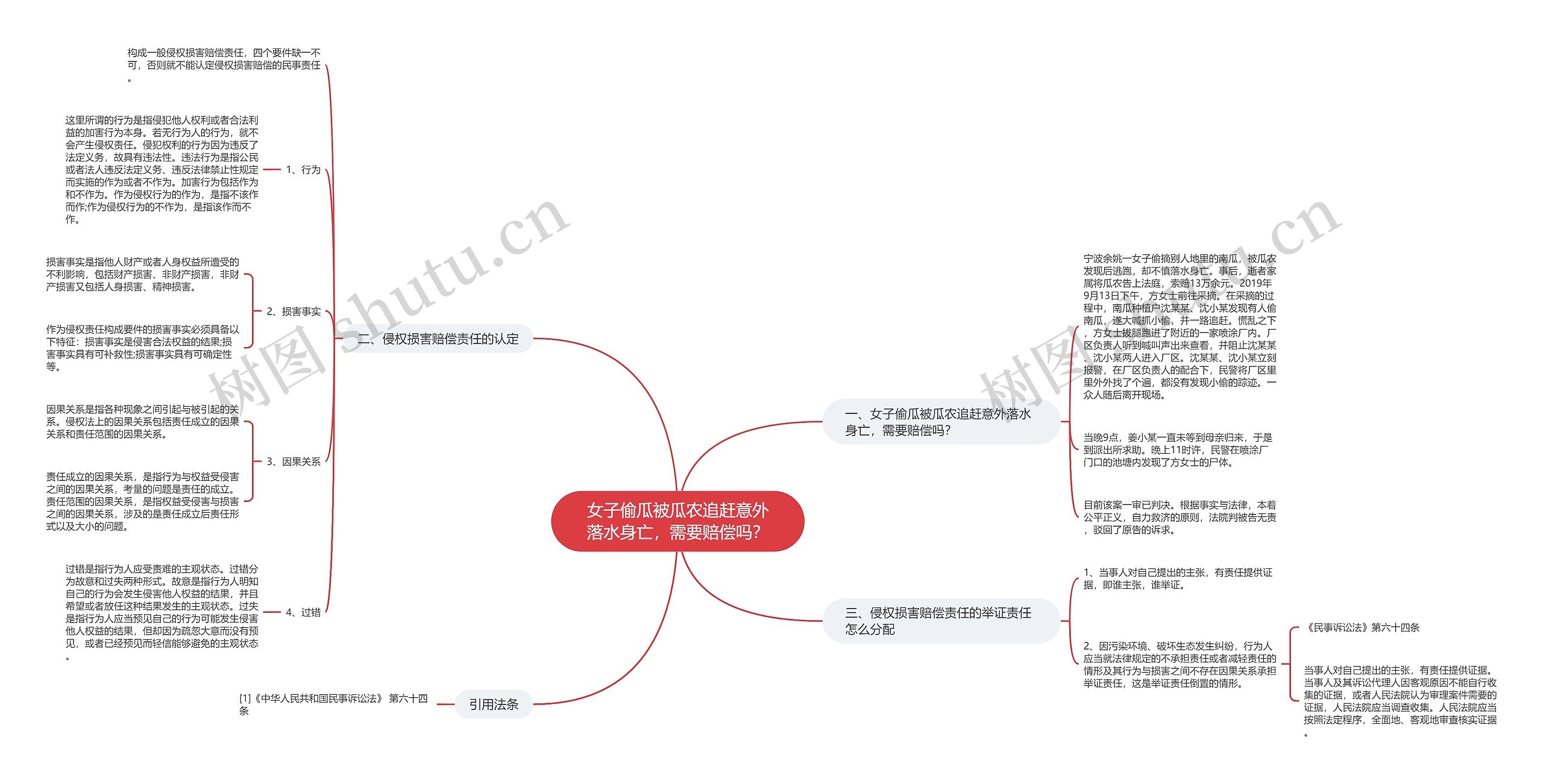 女子偷瓜被瓜农追赶意外落水身亡，需要赔偿吗？思维导图