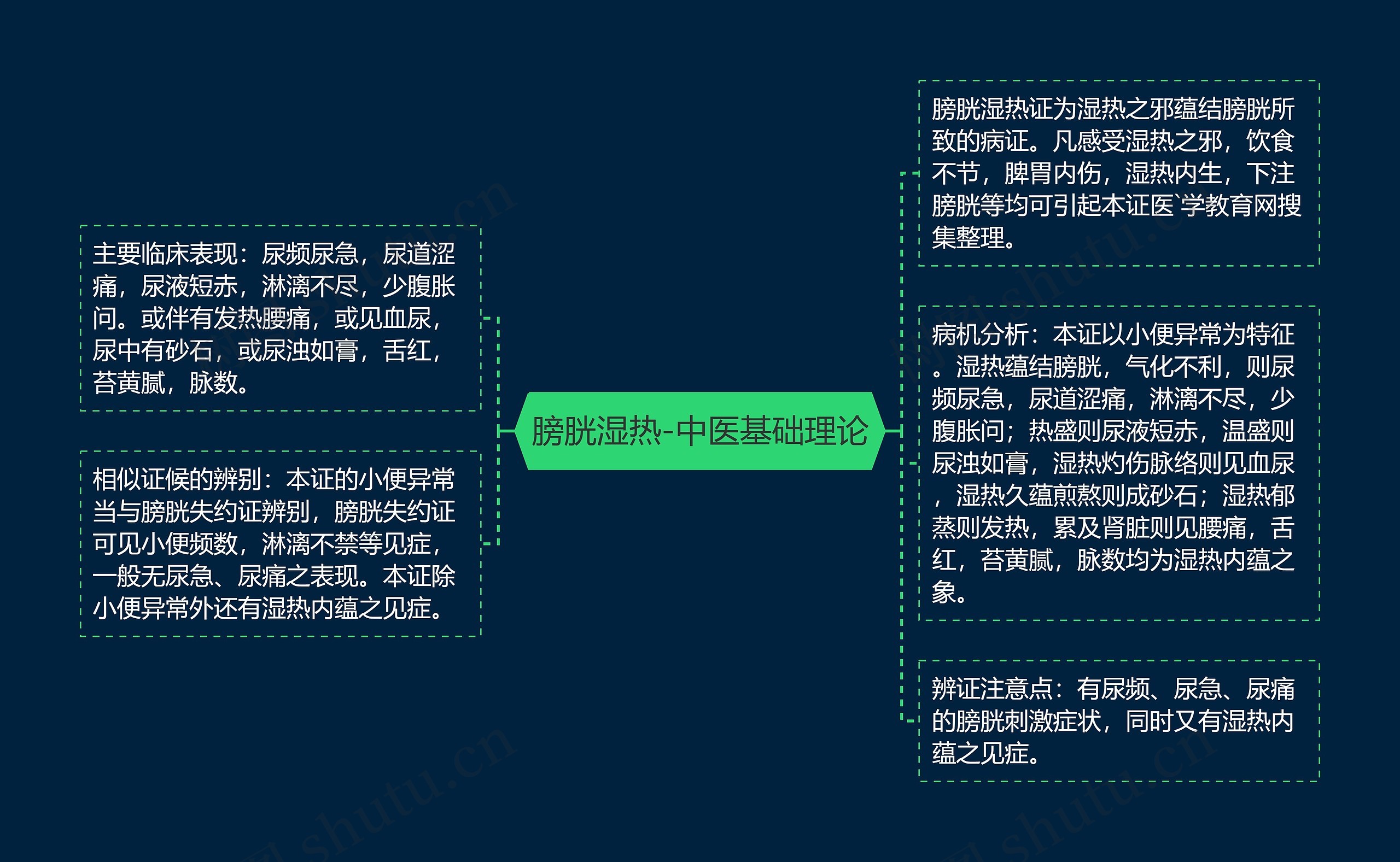 膀胱湿热-中医基础理论思维导图