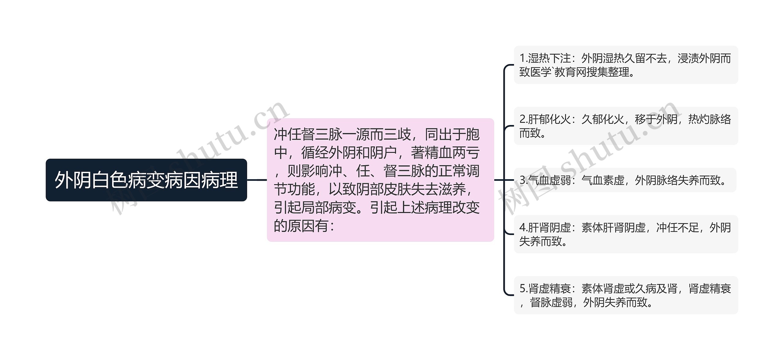 外阴白色病变病因病理思维导图