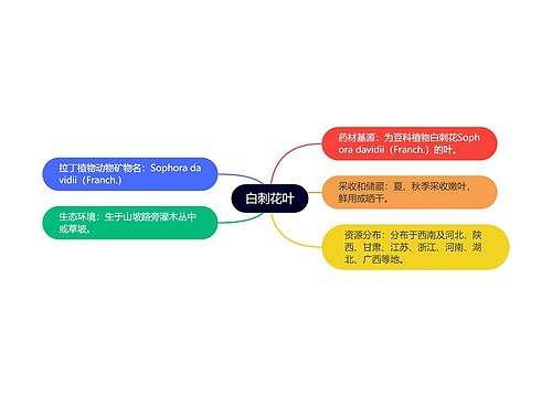 白刺花叶