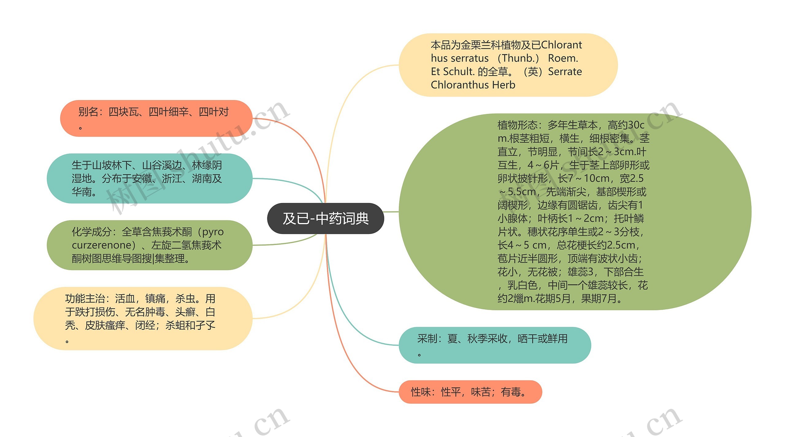 及已-中药词典思维导图