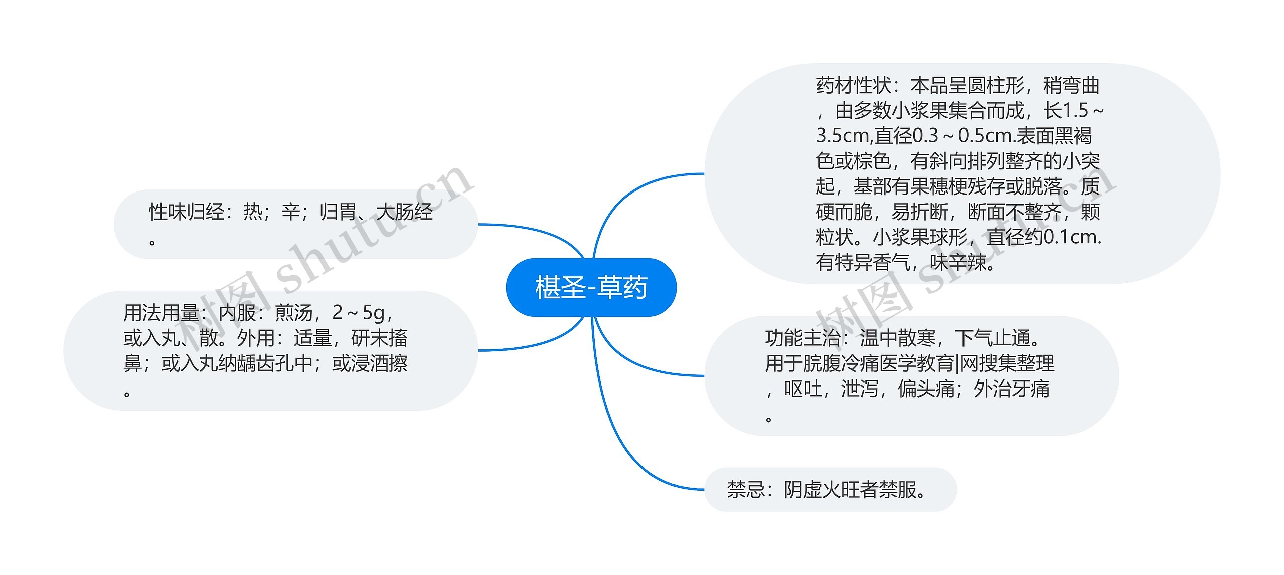 椹圣-草药 椹圣-草药