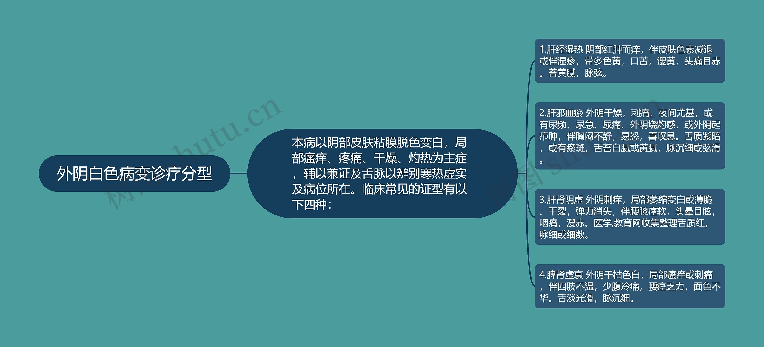 外阴白色病变诊疗分型