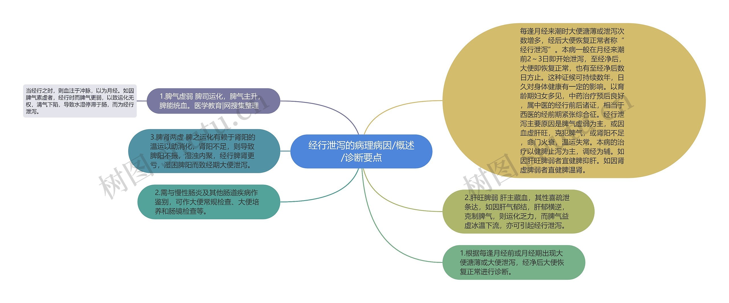 经行泄泻的病理病因/概述/诊断要点思维导图