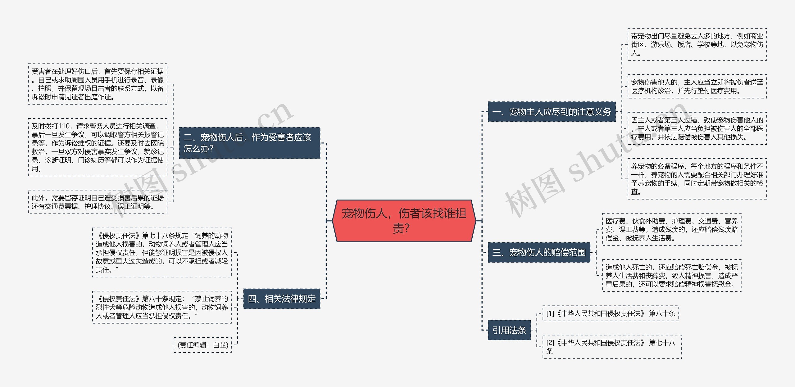 宠物伤人，伤者该找谁担责？思维导图