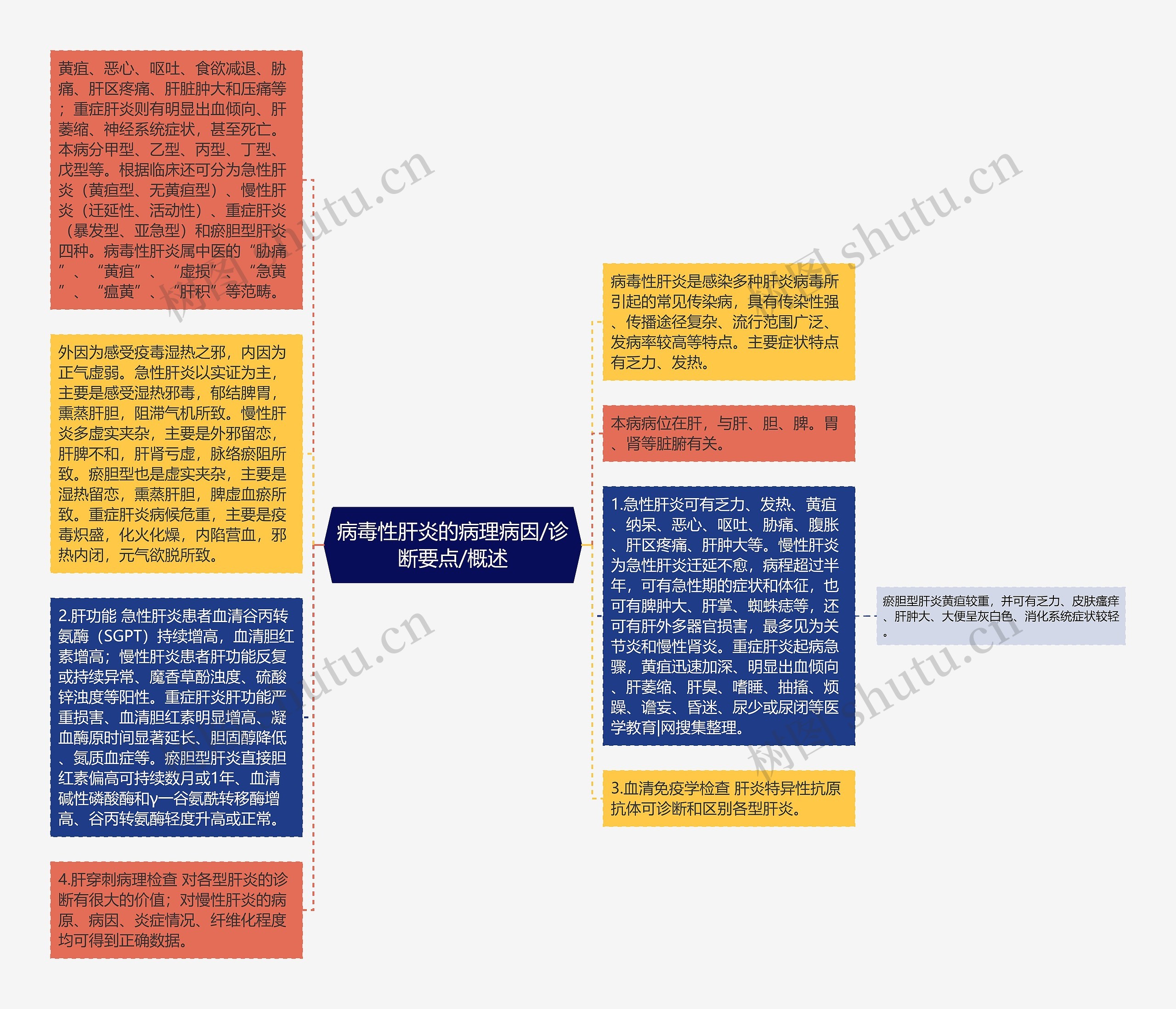 病毒性肝炎的病理病因/诊断要点/概述思维导图