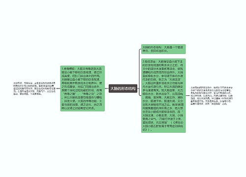 大肠的形态结构