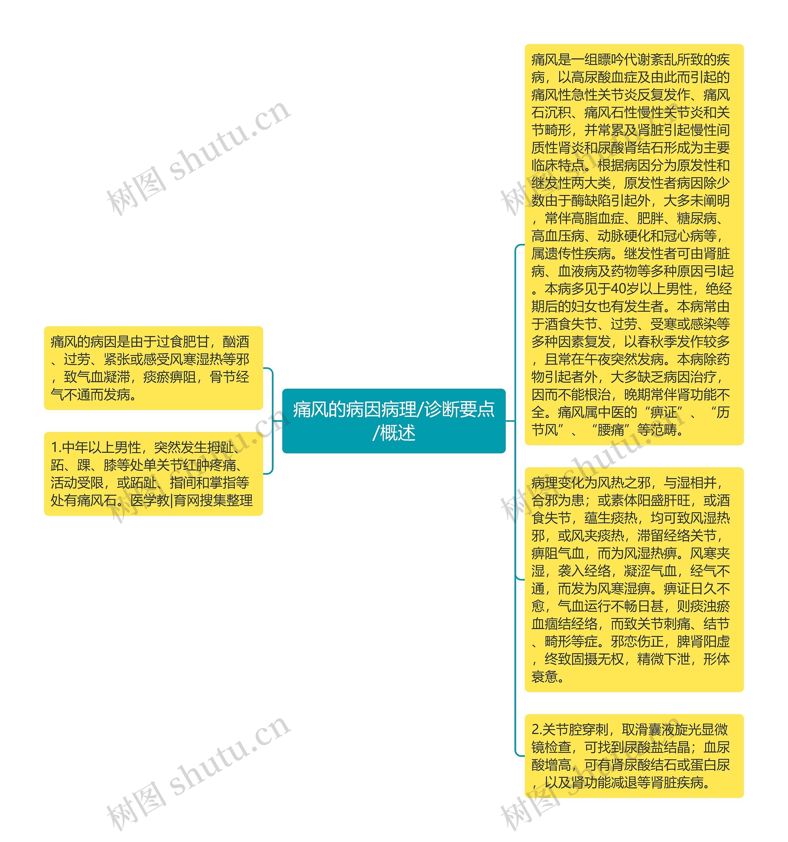 痛风的病因病理/诊断要点/概述思维导图