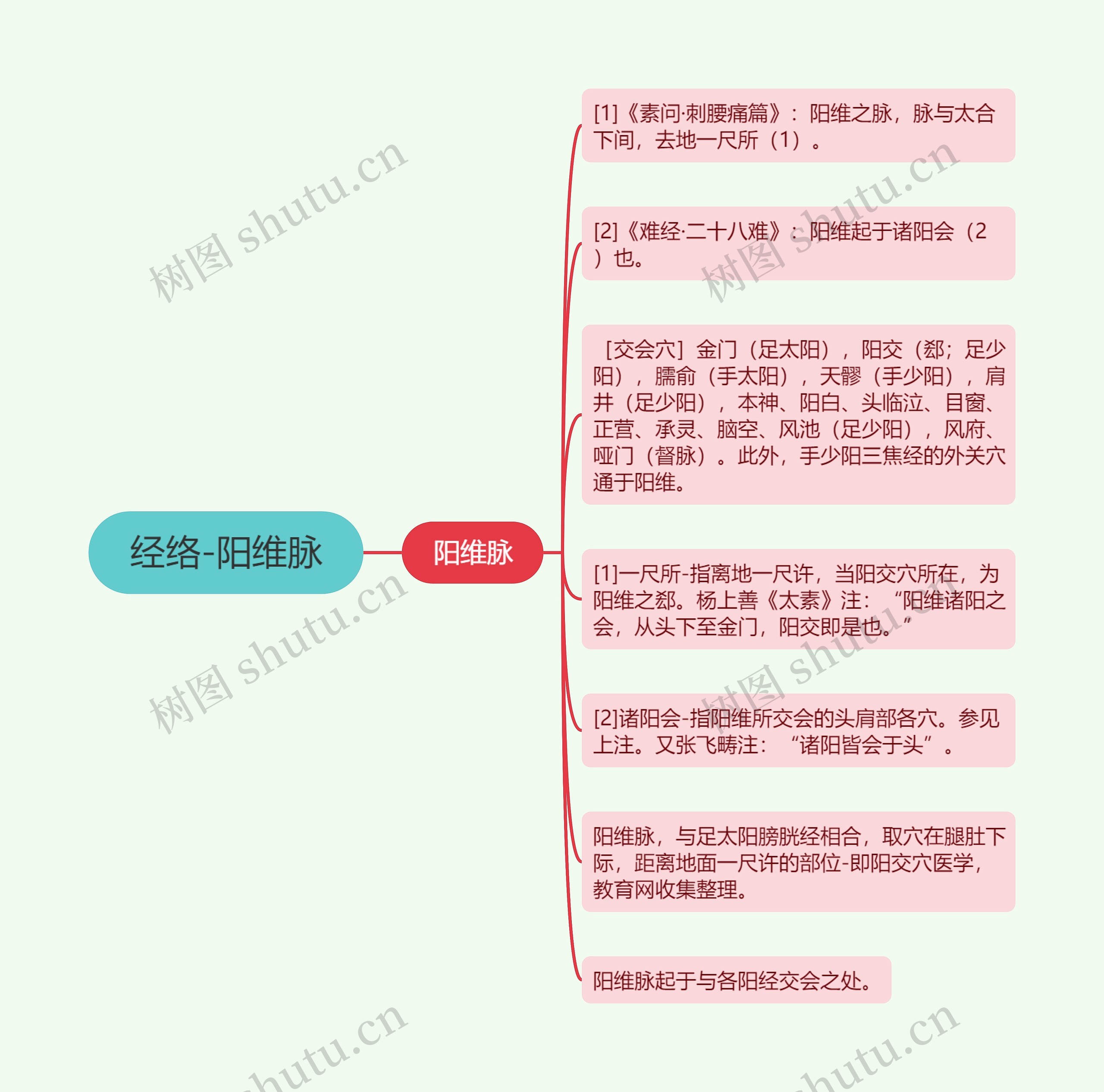 经络-阳维脉思维导图