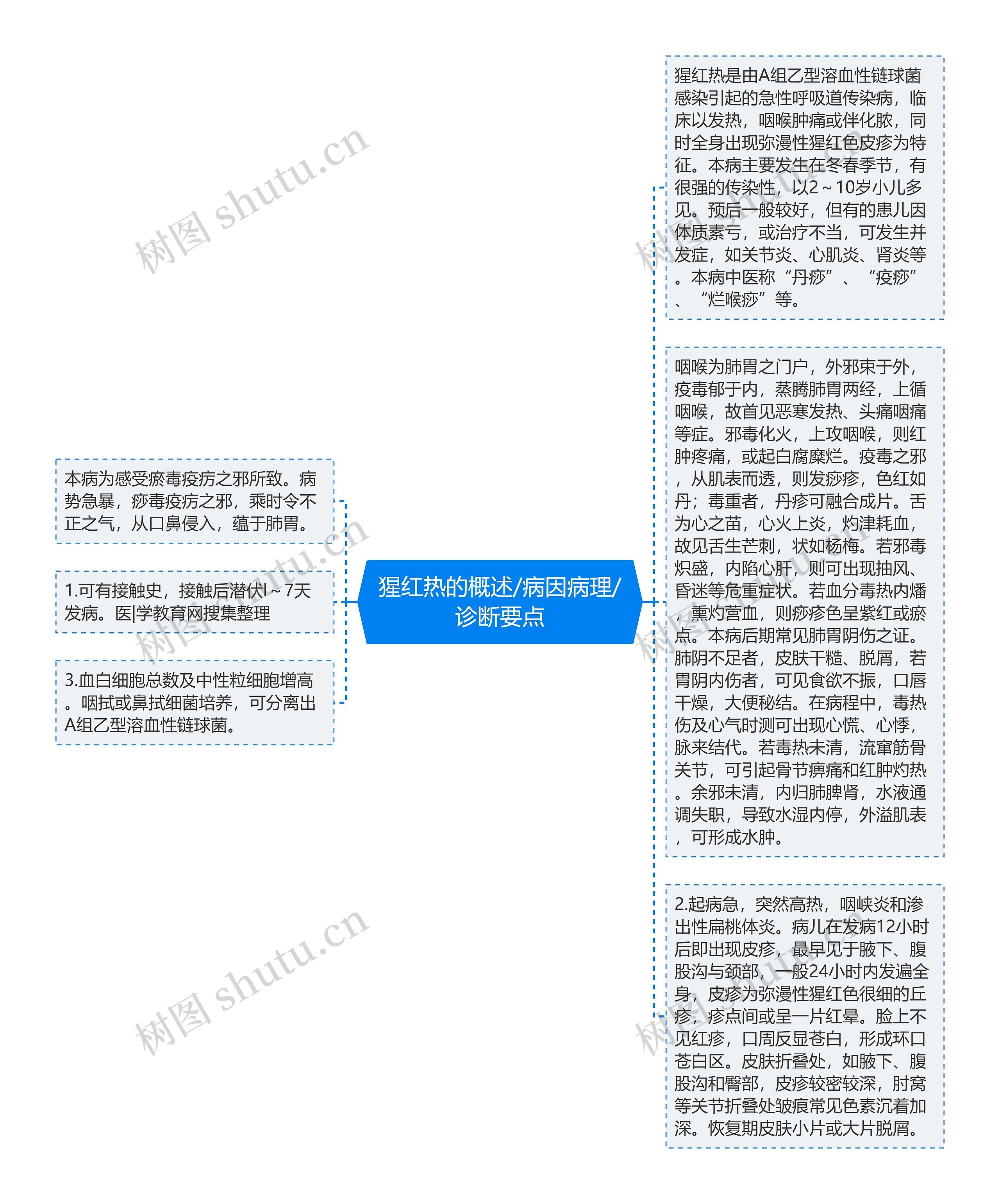 猩红热的概述/病因病理/诊断要点