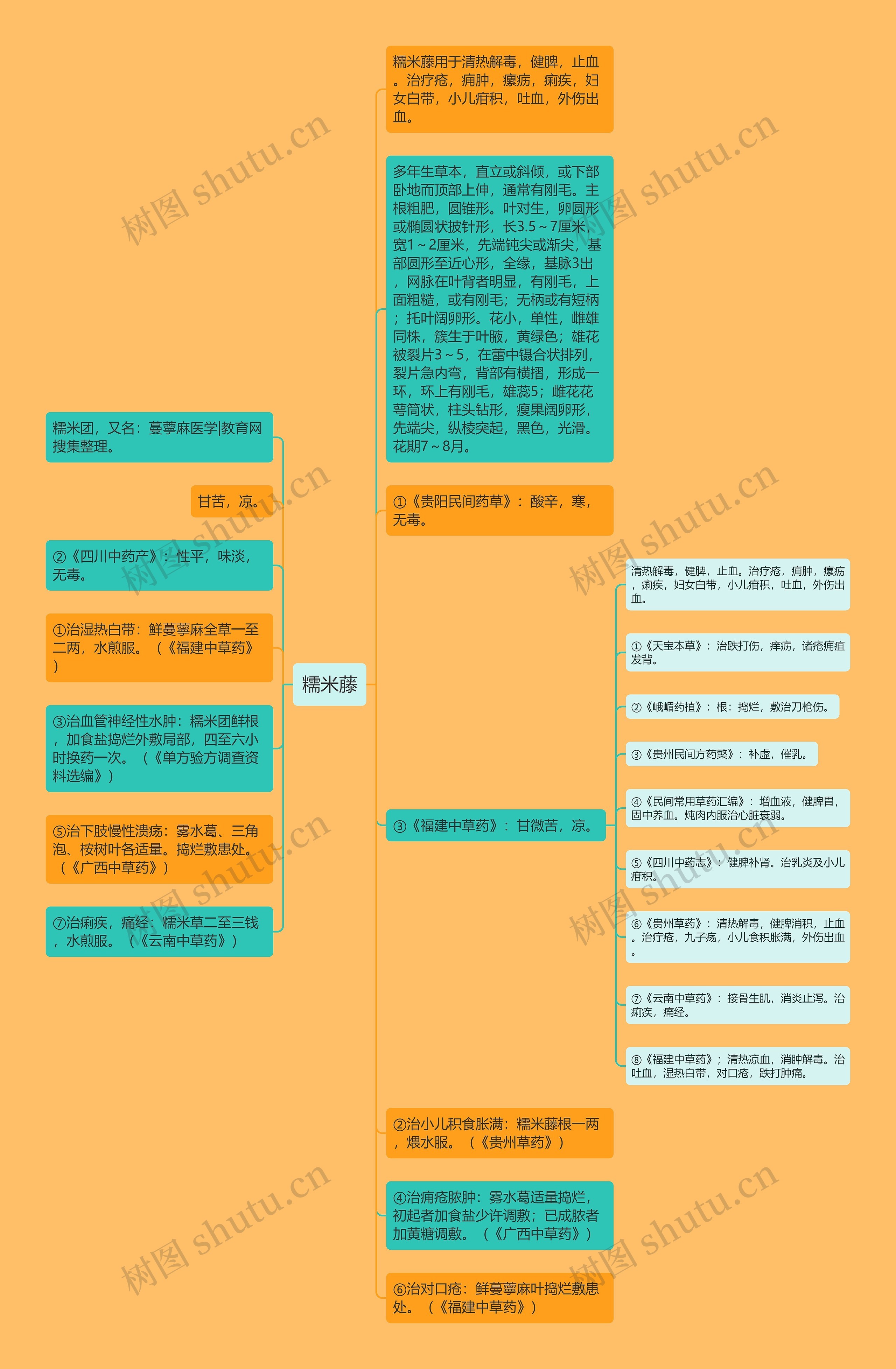 糯米藤思维导图高清图 糯米藤思维导图