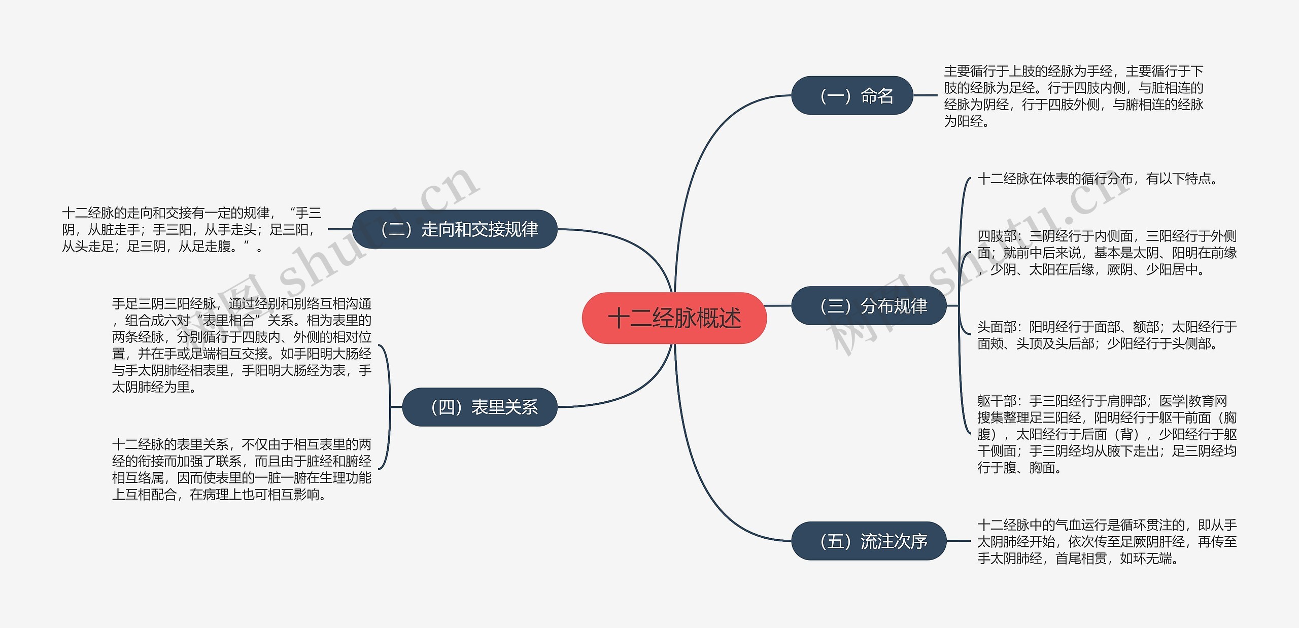 十二经脉概述思维导图