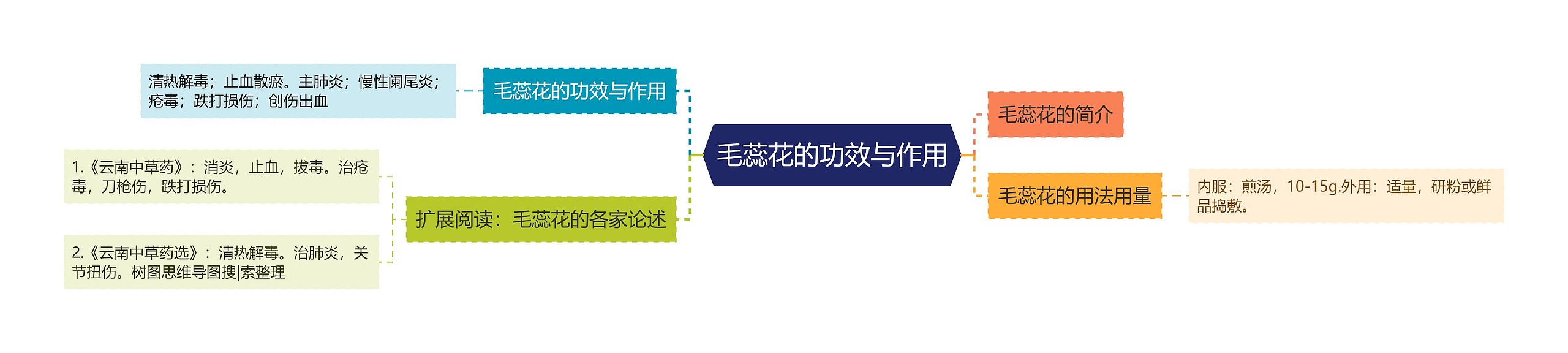 毛蕊花的功效与作用