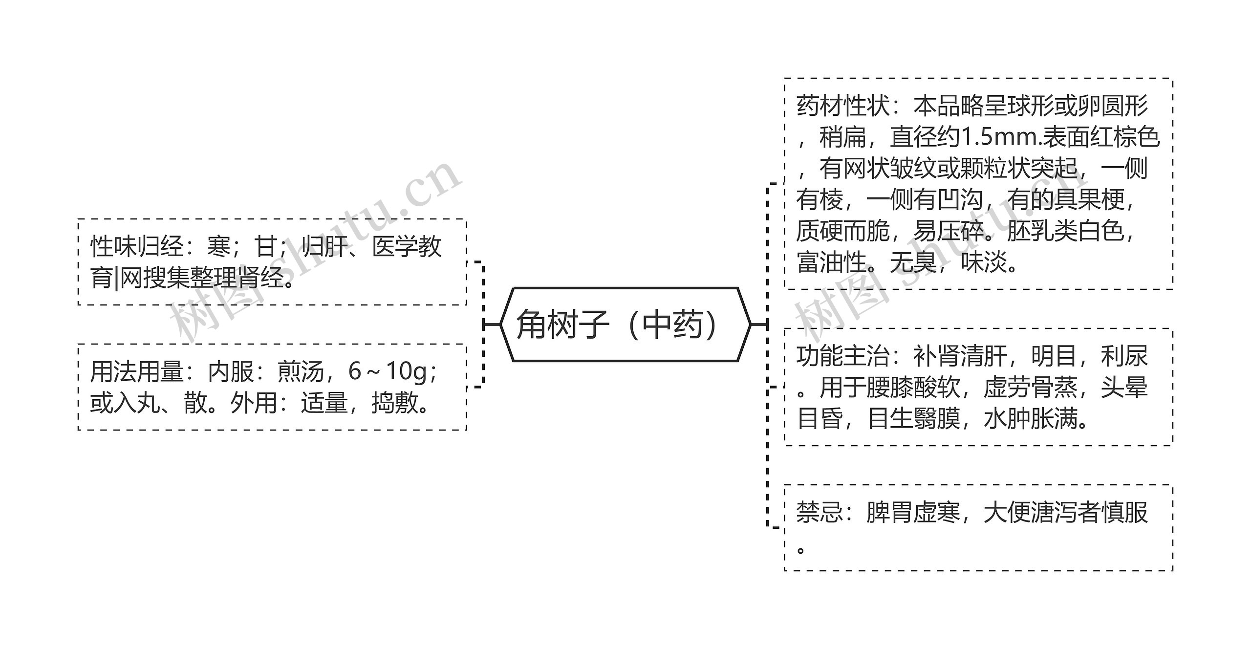 角树子（中药）思维导图