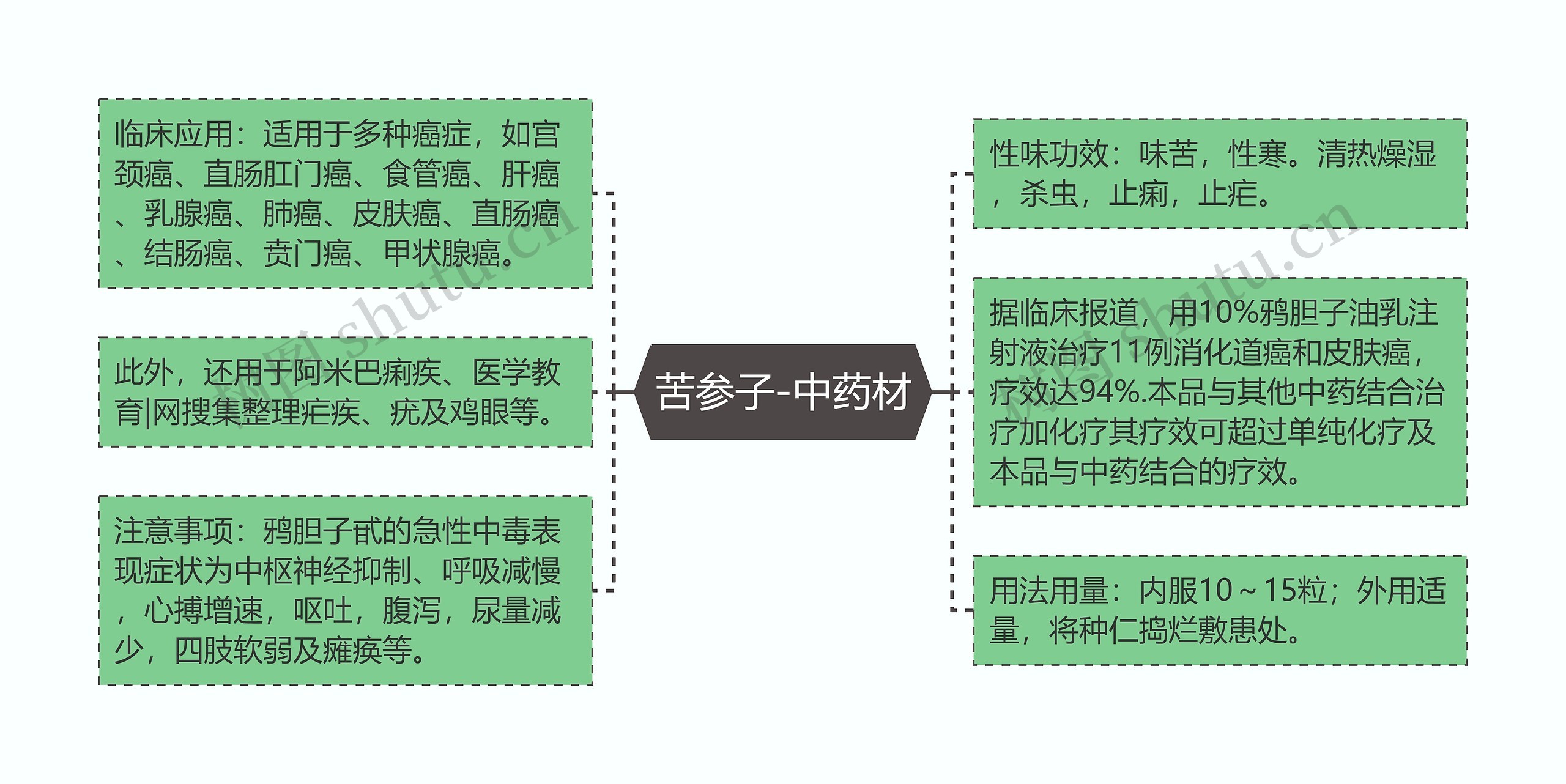 苦参子-中药材思维导图