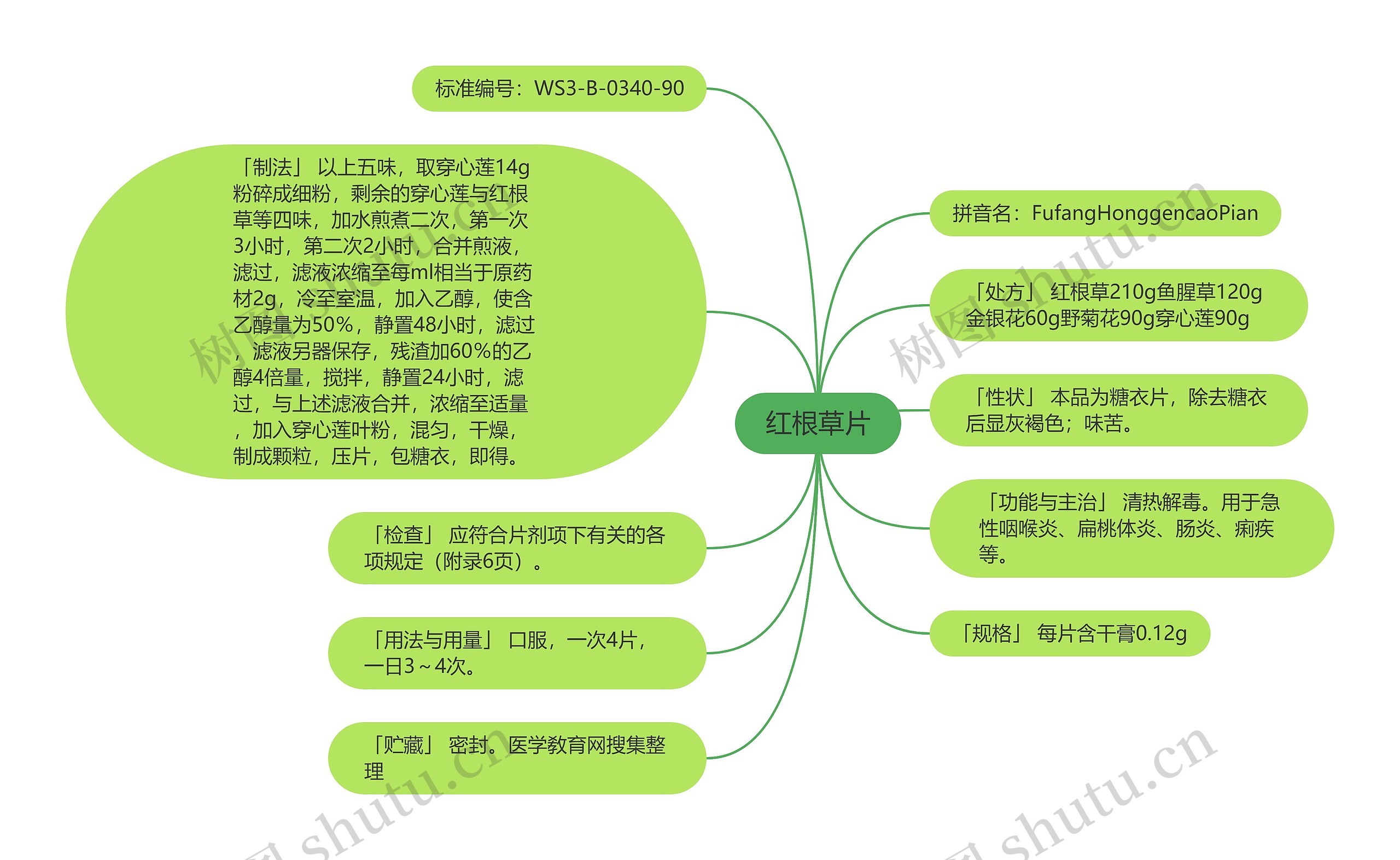 红根草片思维导图