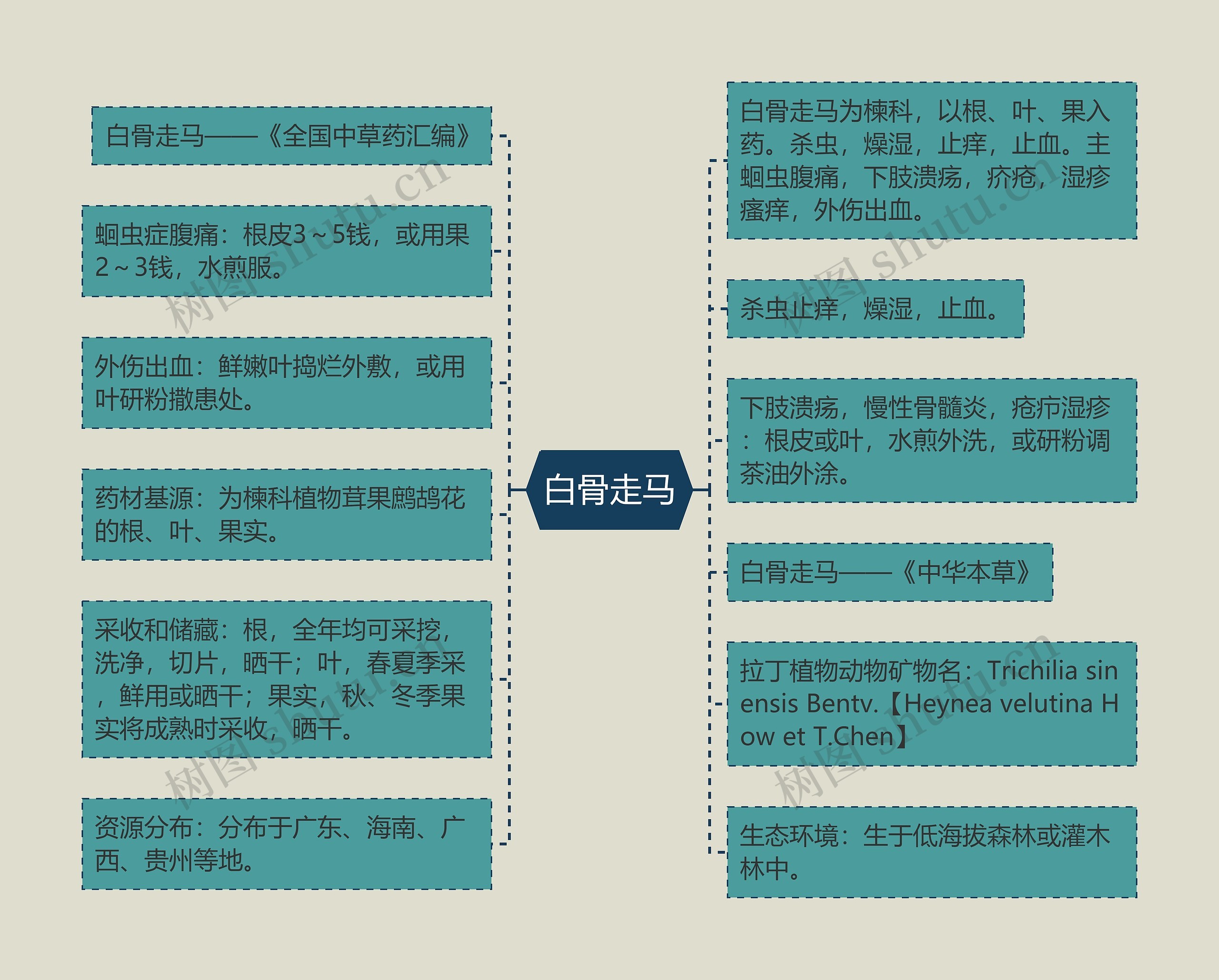 白骨走马思维导图