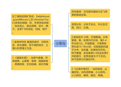 小草乌