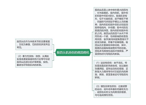 股四头肌损伤的病因病机