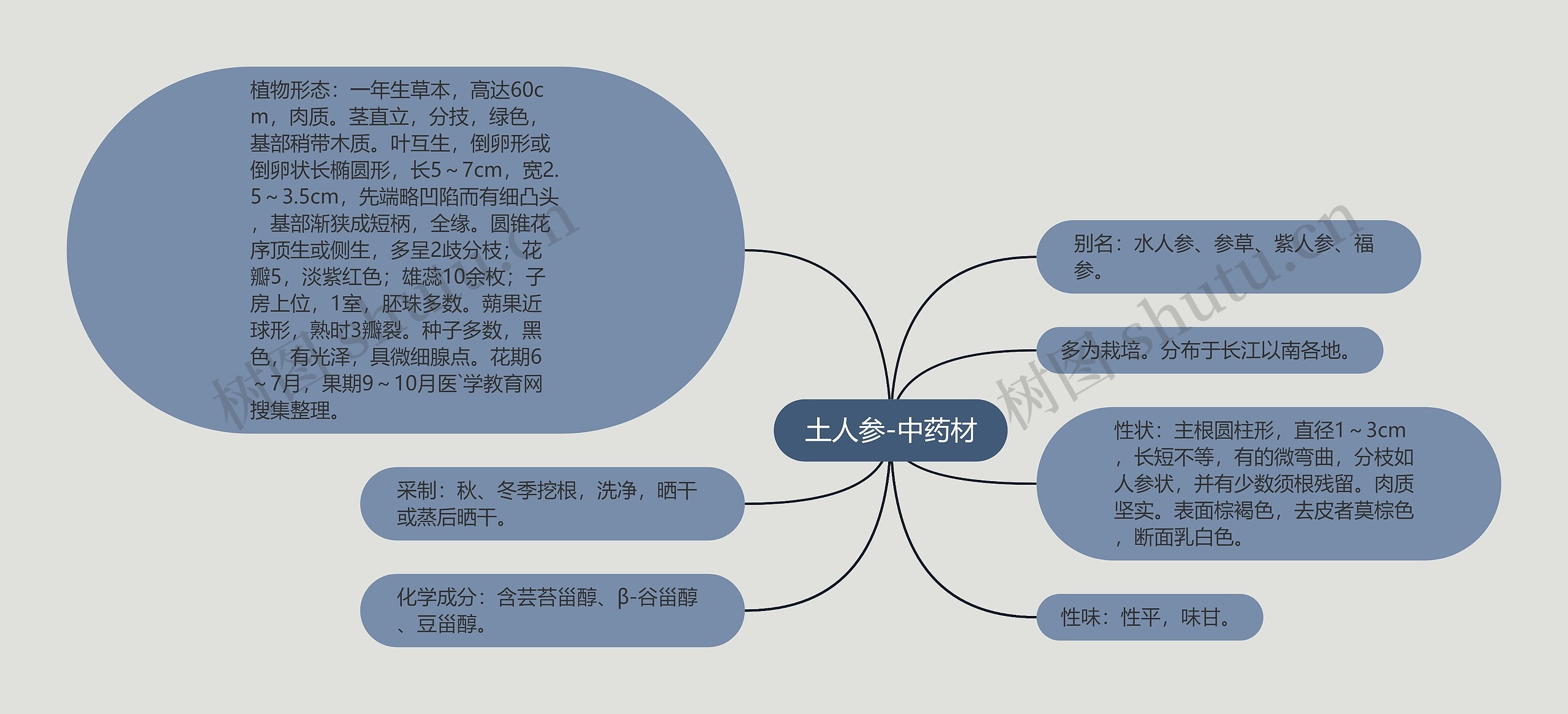 土人参-中药材思维导图