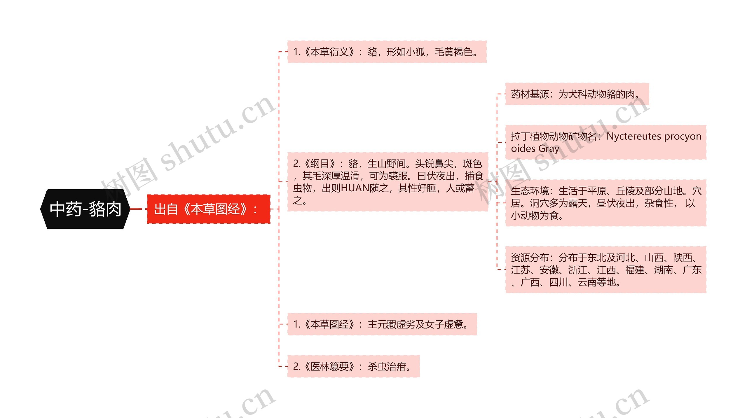 中药-貉肉 中药-貉肉