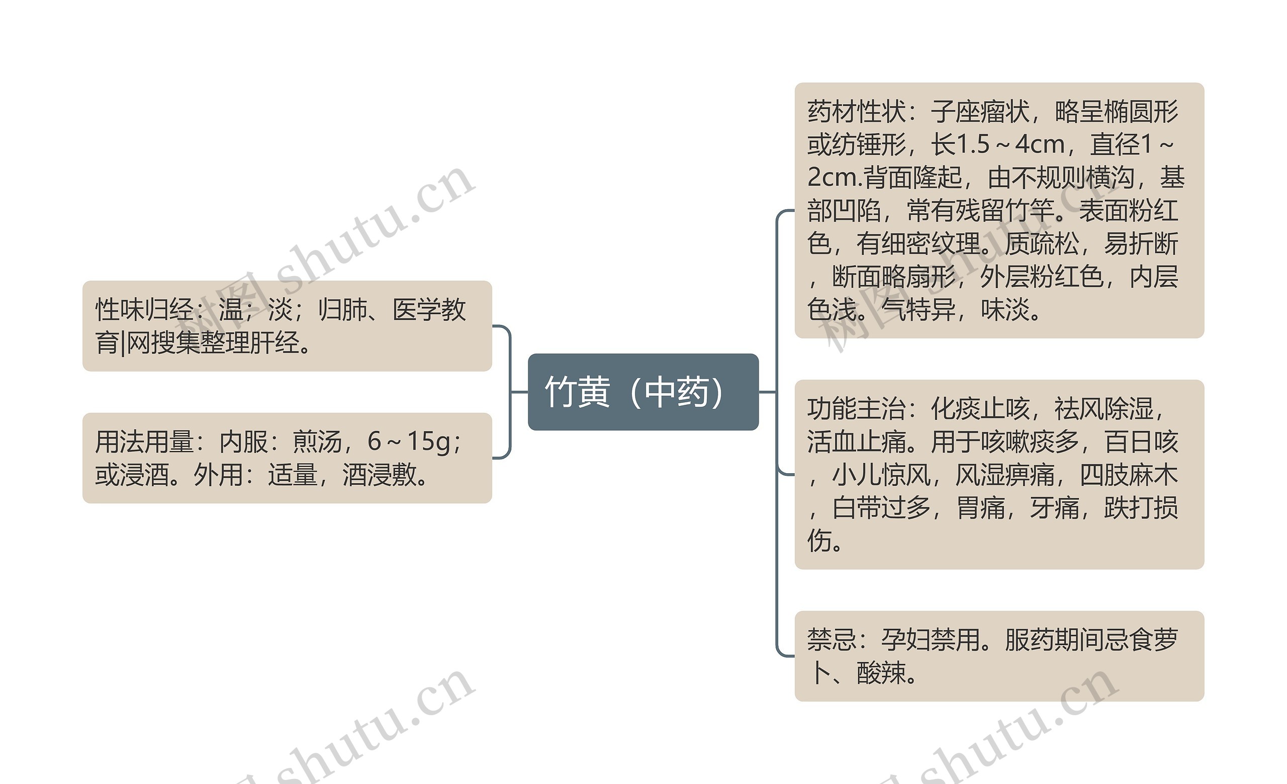 竹黄（中药）思维导图