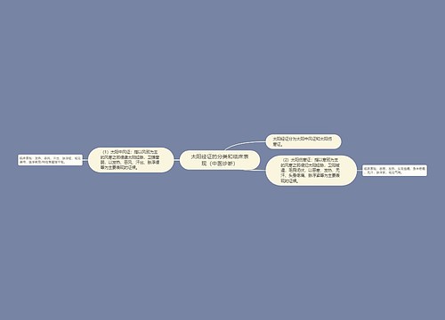 太阳经证的分类和临床表现（中医诊断）