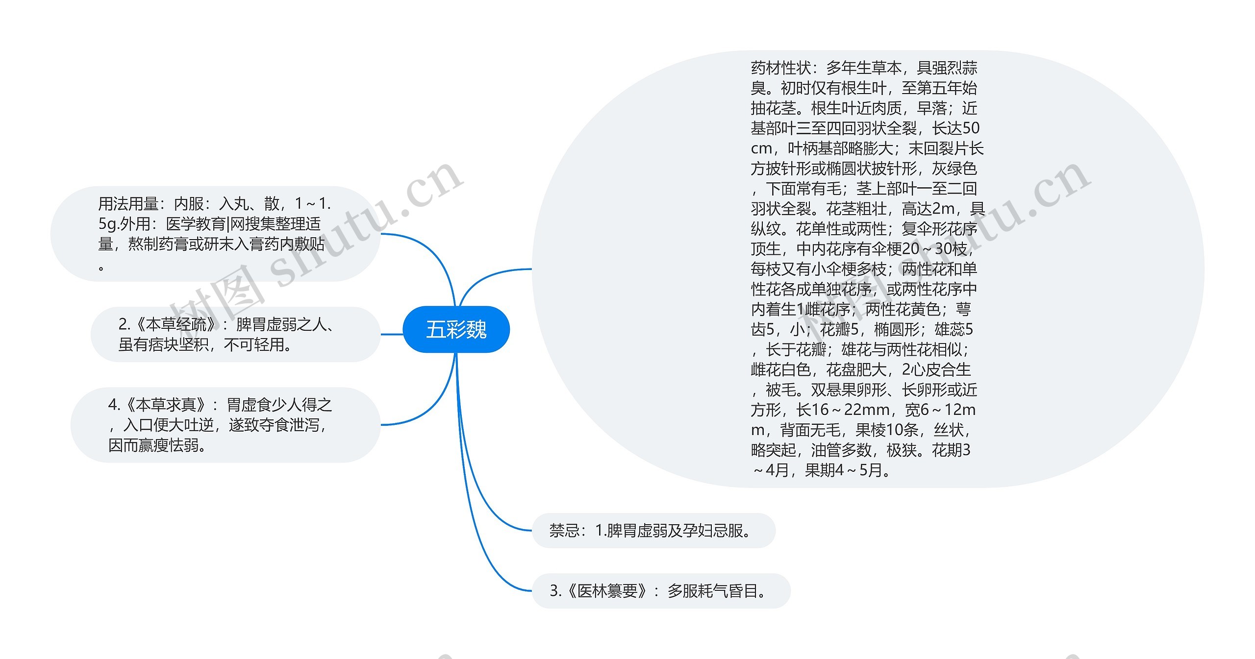 五彩魏思维导图