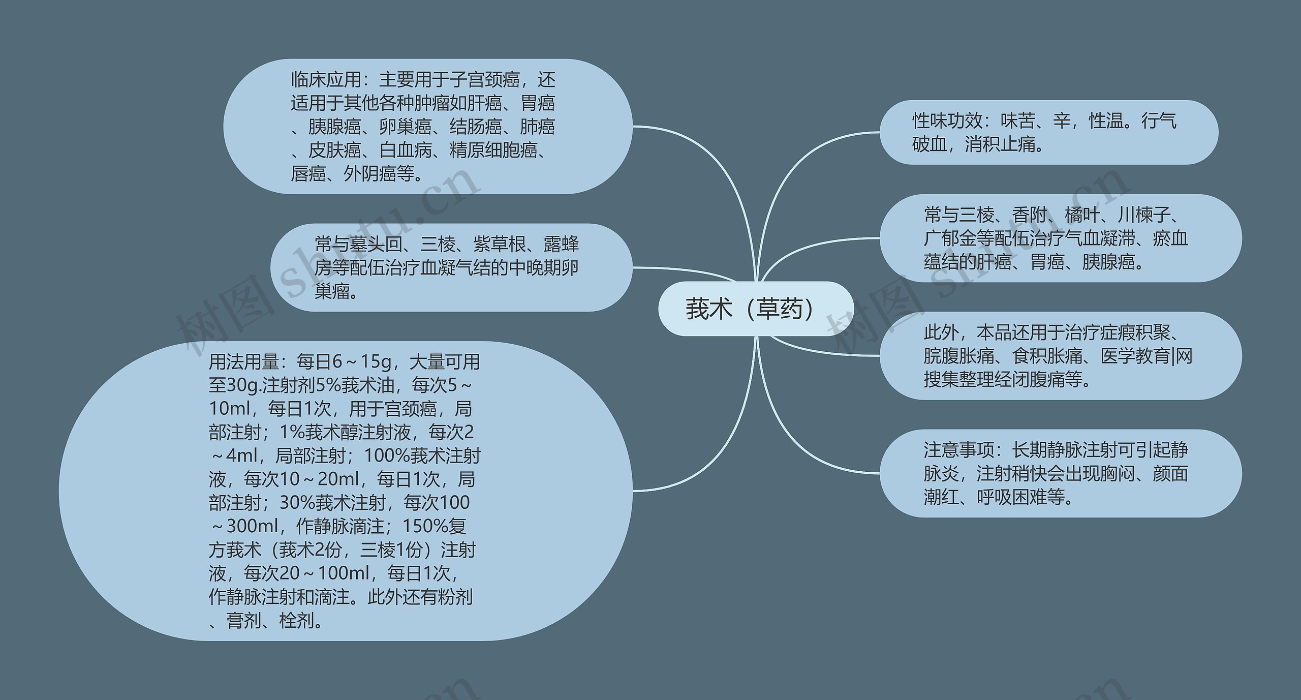 莪术(草药) 莪术(草药)