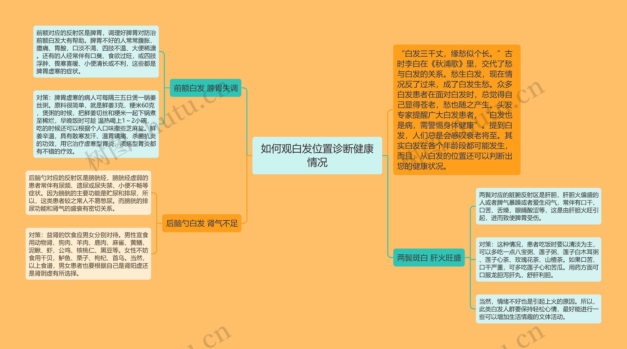 如何观白发位置诊断健康情况