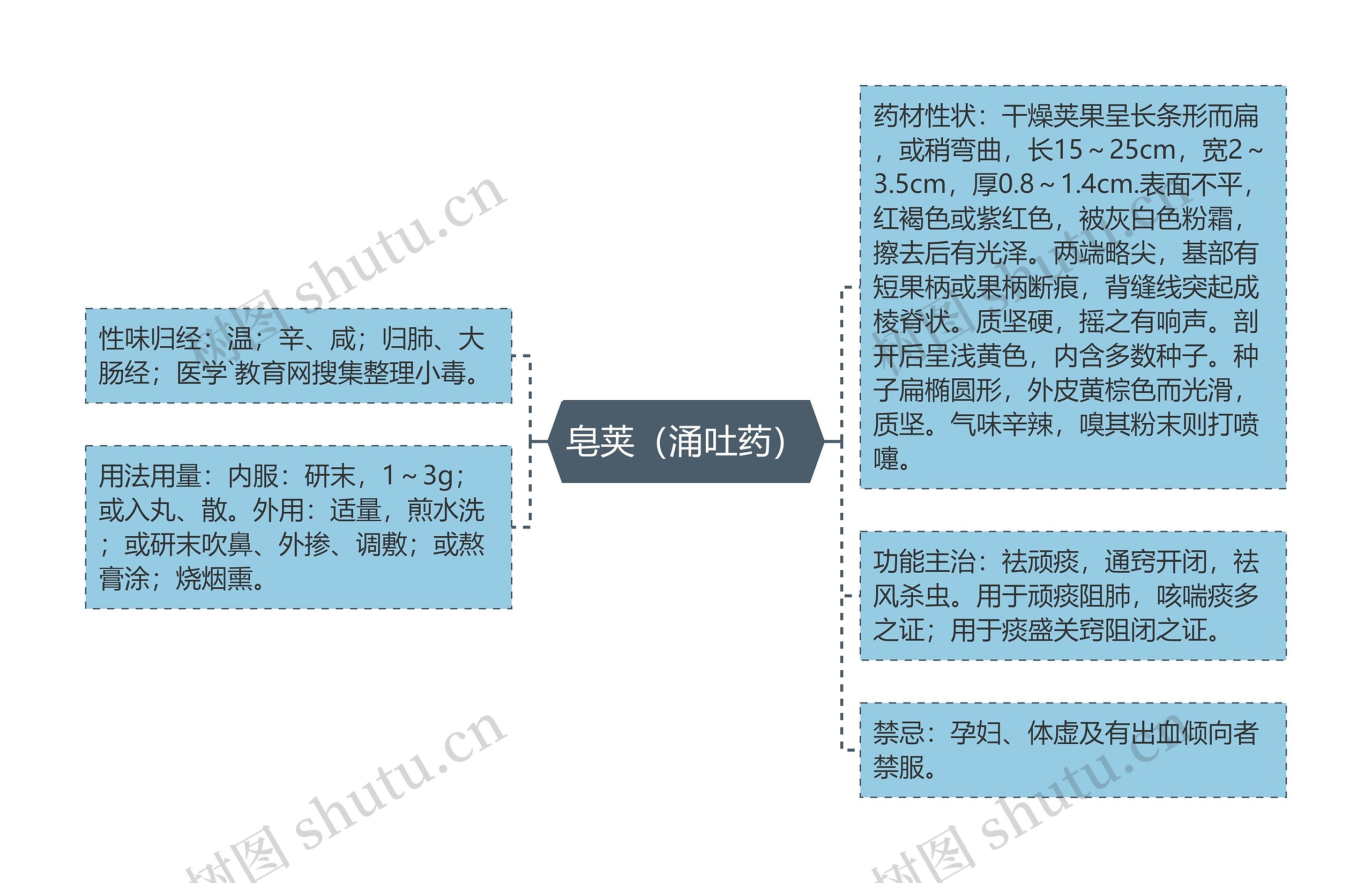 皂荚（涌吐药）思维导图