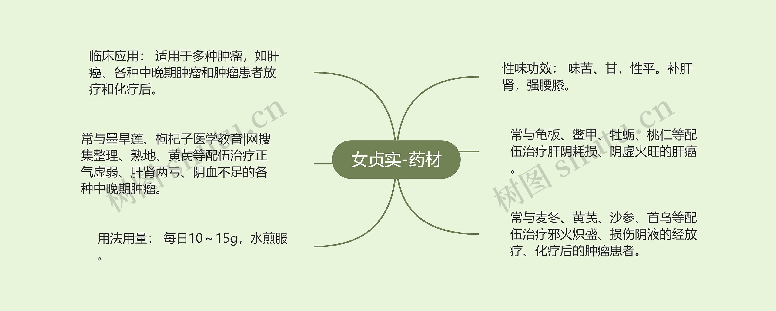 女贞实-药材 女贞实-药材