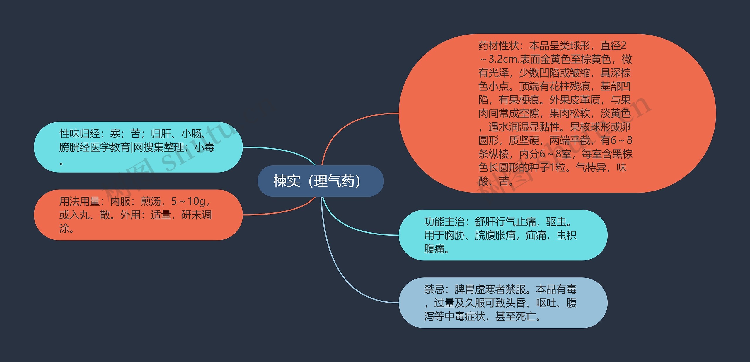 楝实（理气药）思维导图