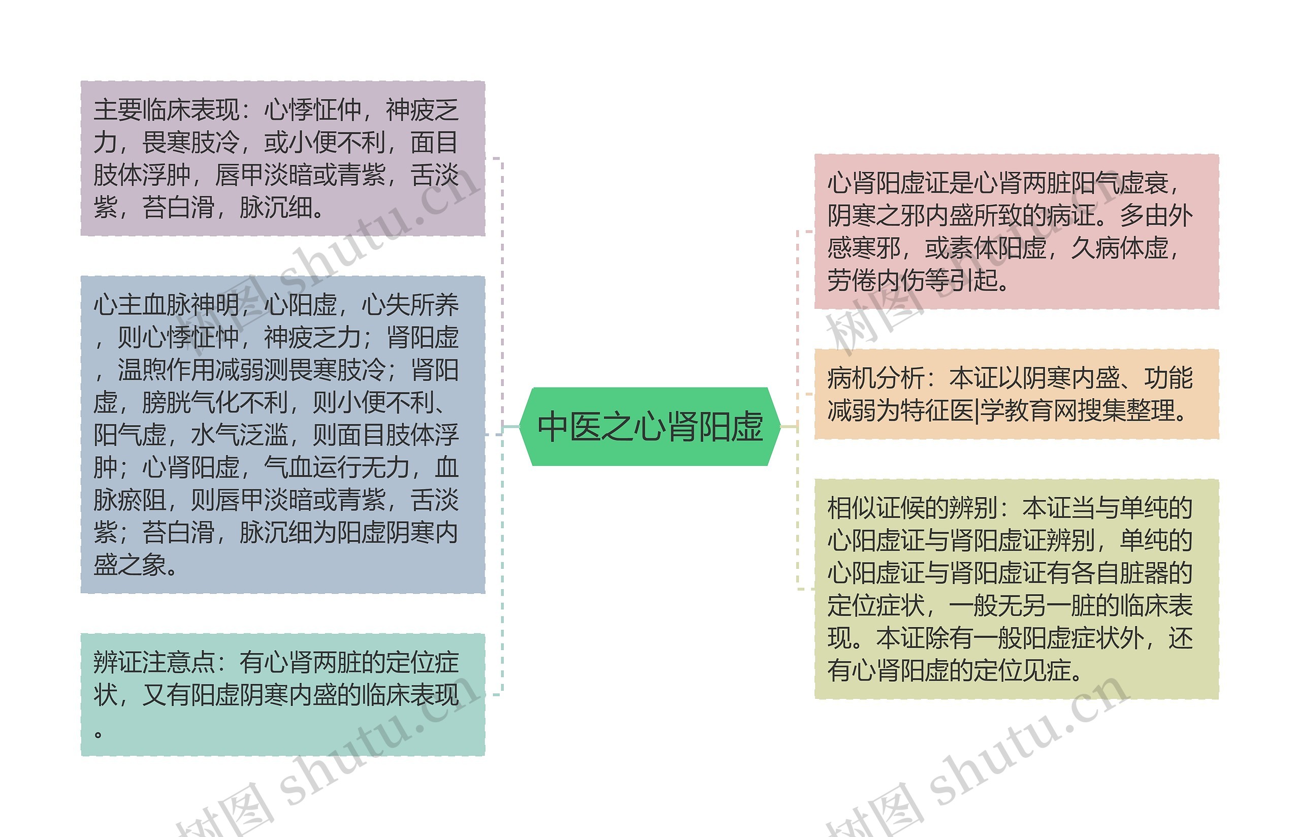 中医之心肾阳虚