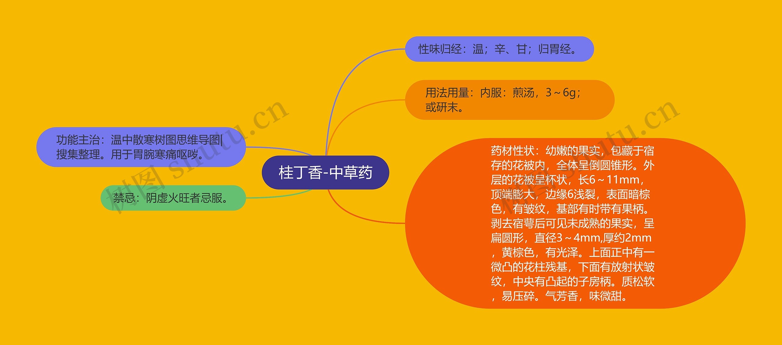 桂丁香-中草药 桂丁香-中草药