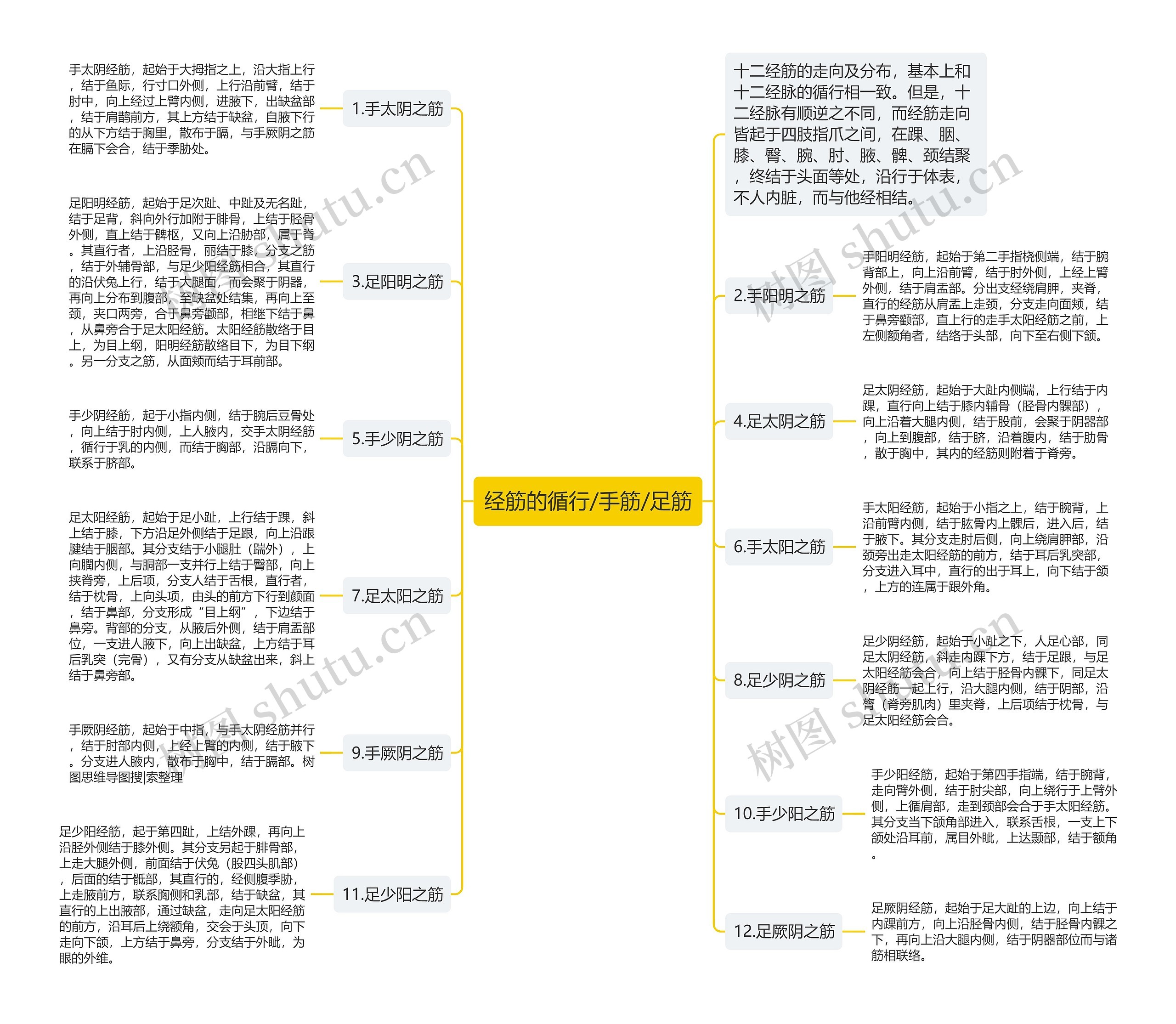经筋的循行/手筋/足筋思维导图