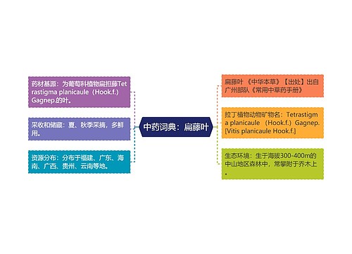 中药词典：扁藤叶